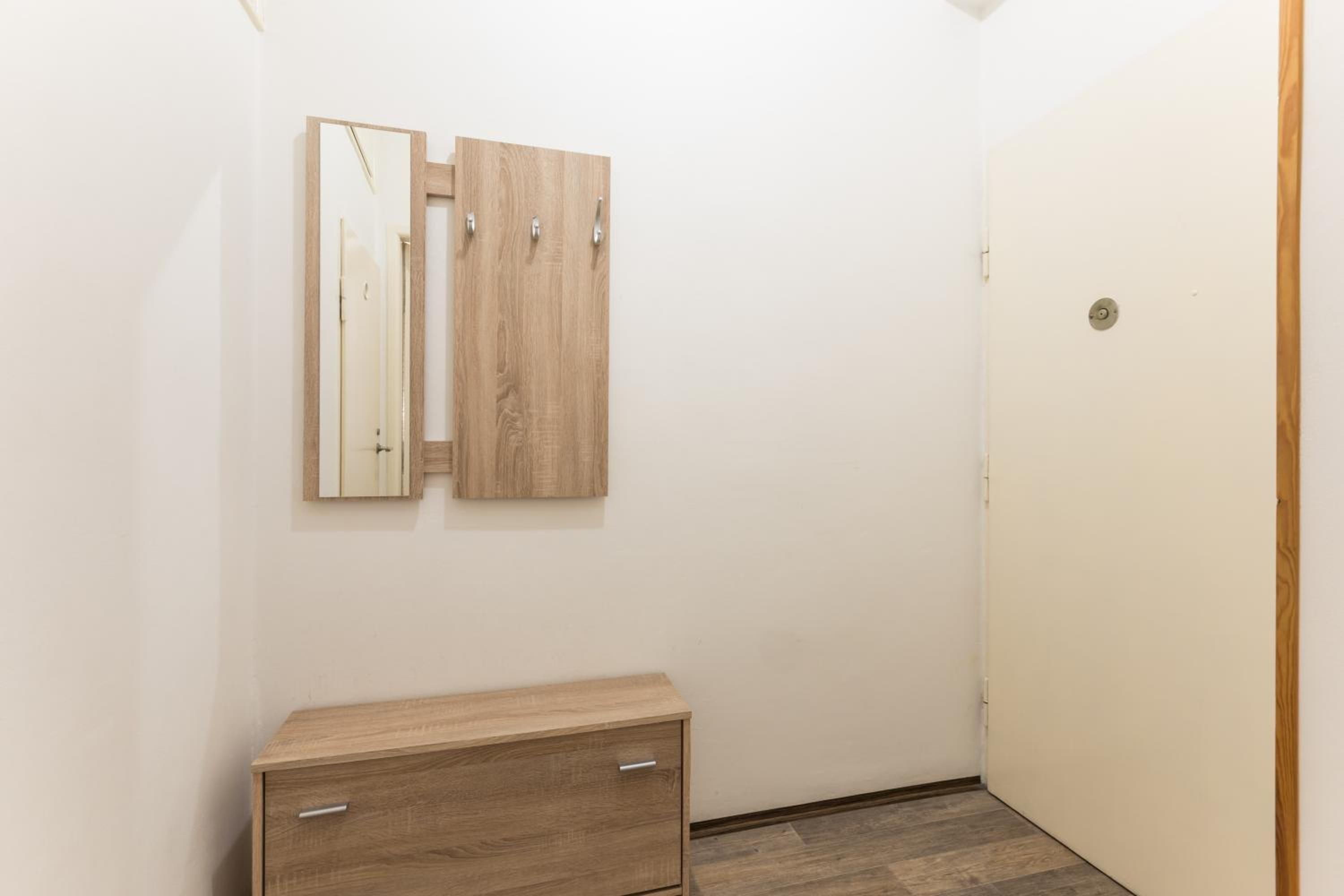 Wenceslass Square Luxury Apartment