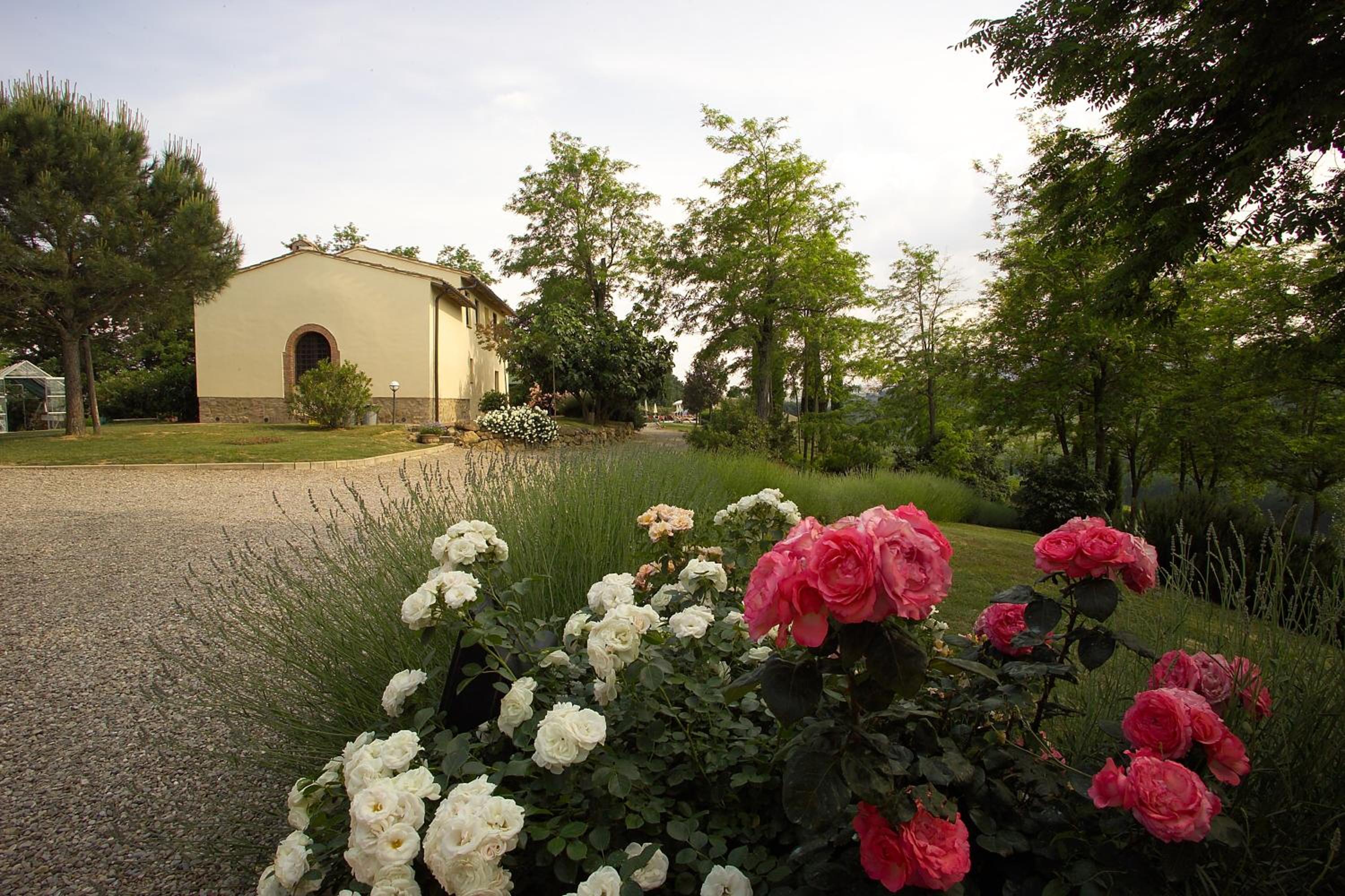Il Rosolaccio view 5