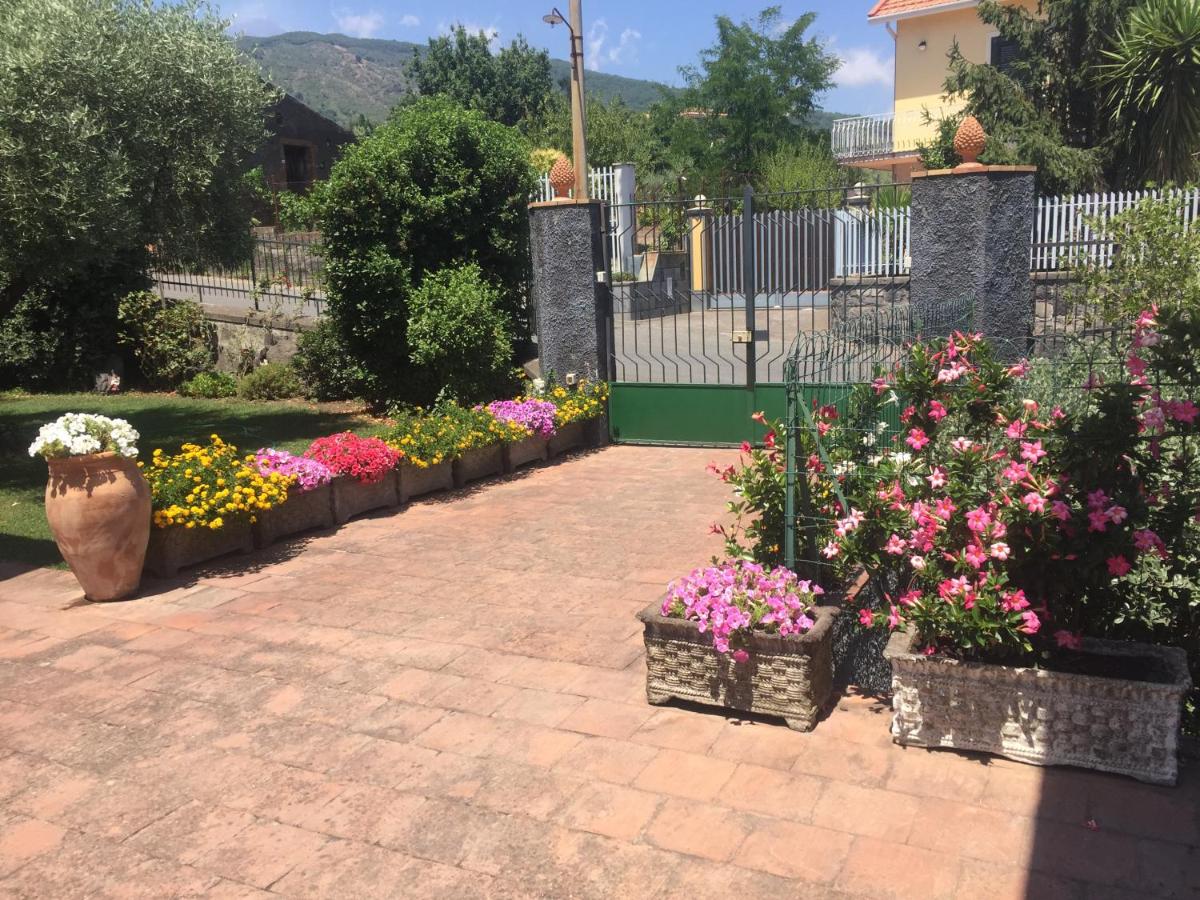 Scatitti House view 3