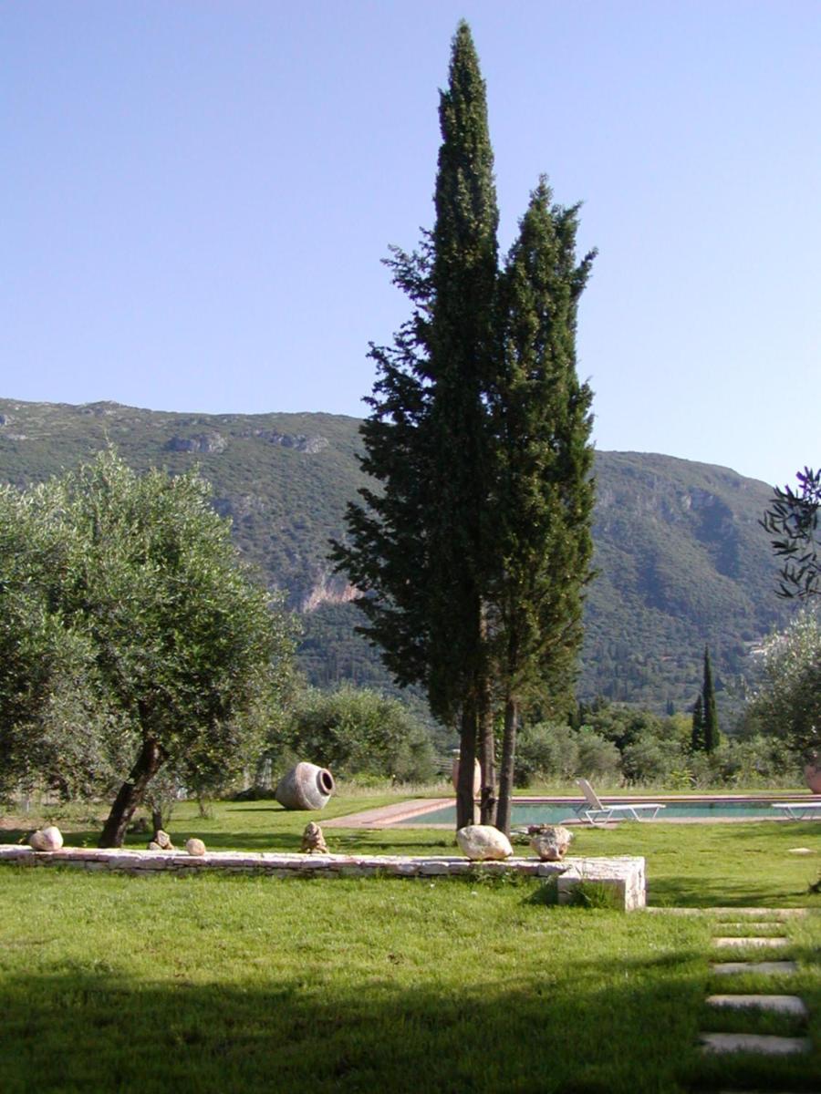 Photo 24