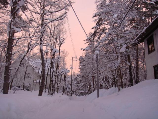 Photo 46