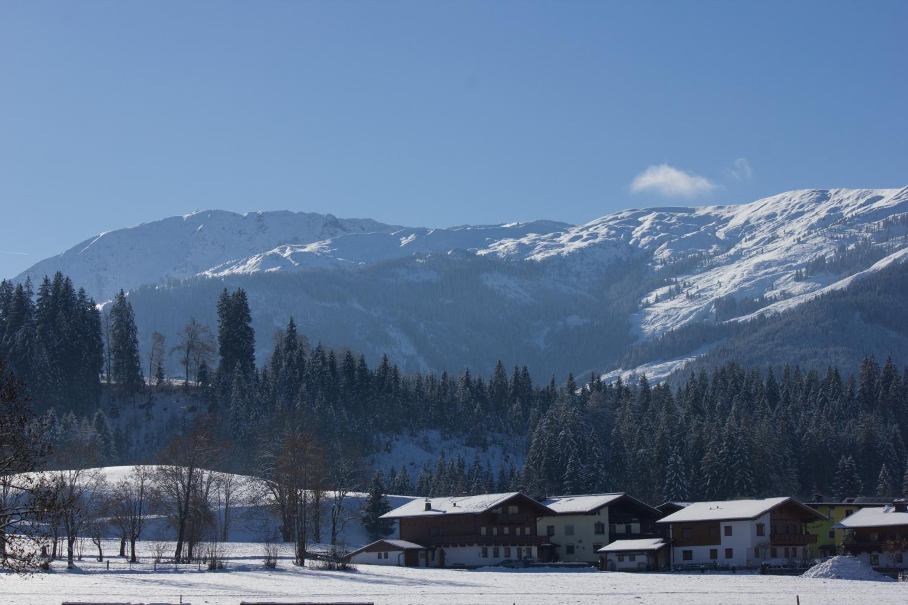 Appartement Baumgartner