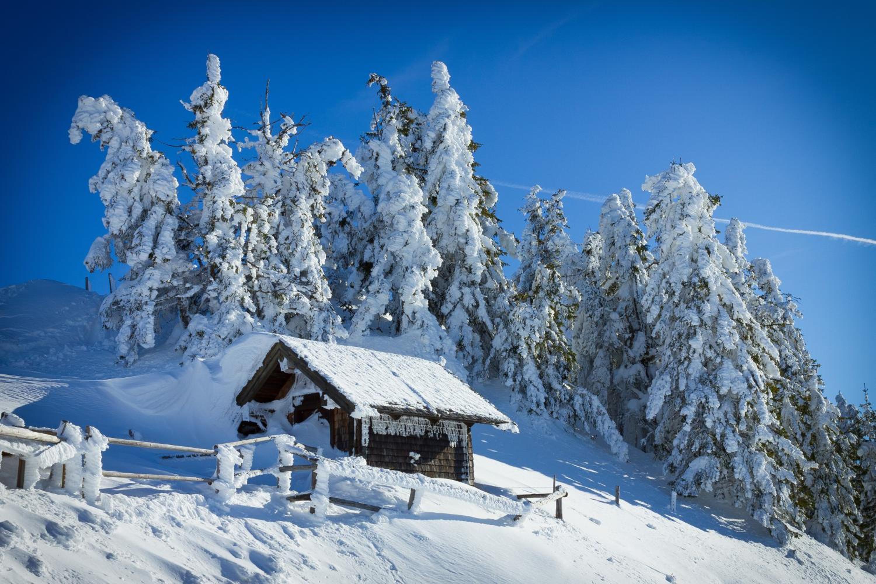 Appartement Baumgartner