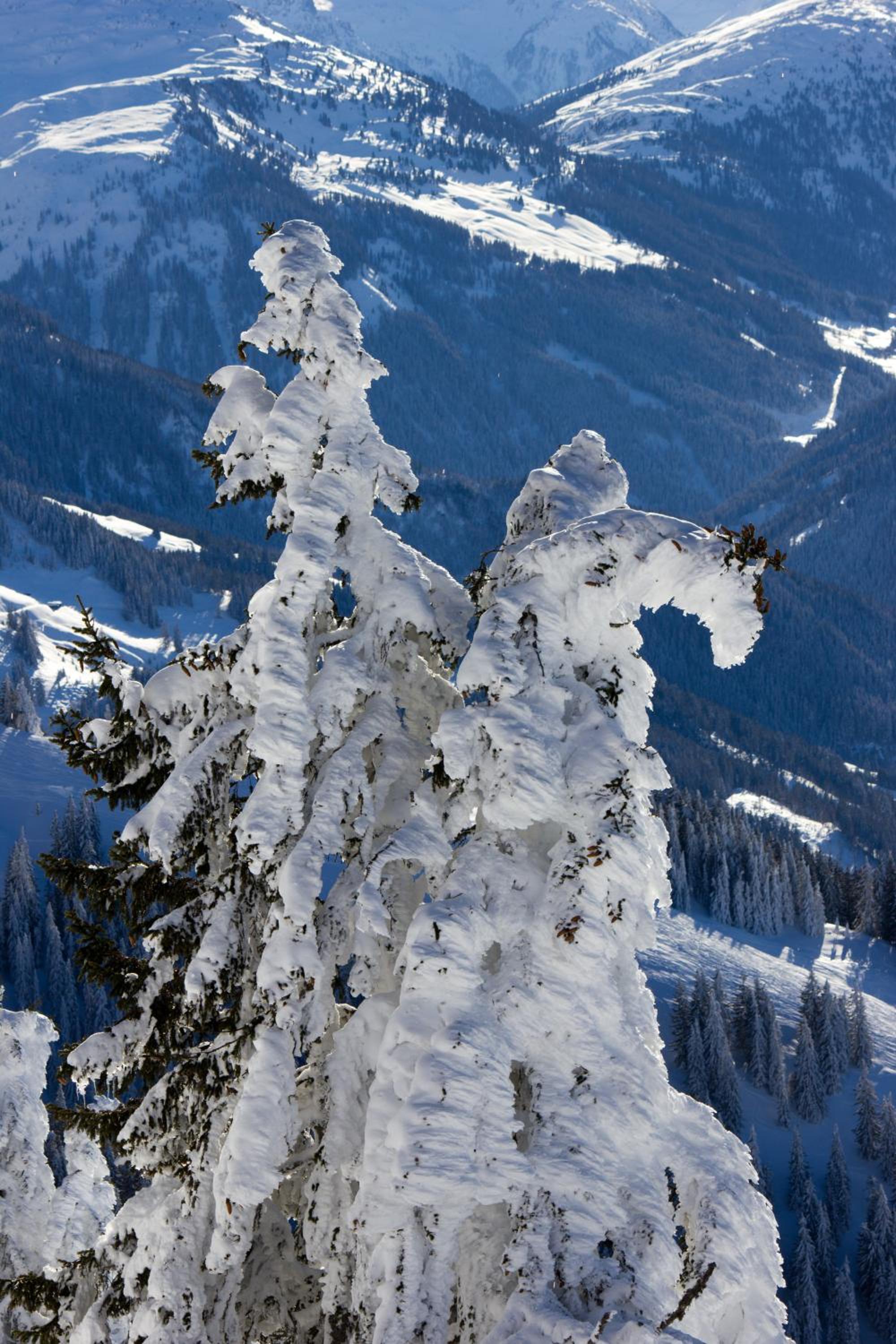 Appartement Baumgartner