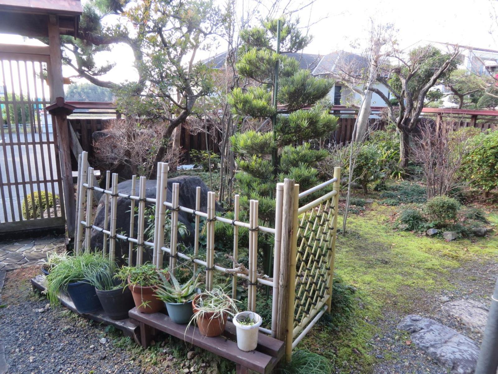 Photo 12