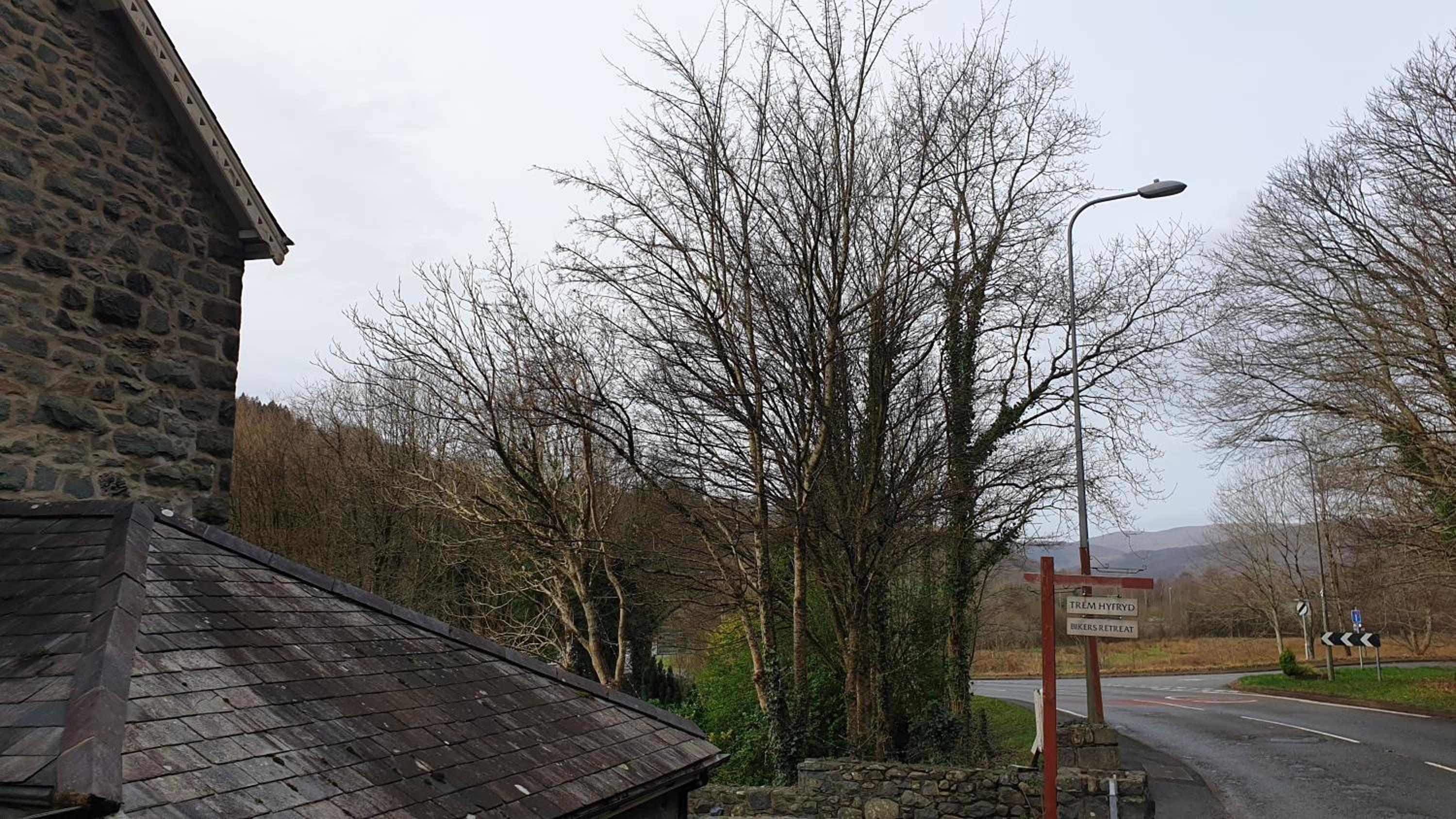 Trem Hyfryd B&B view 5