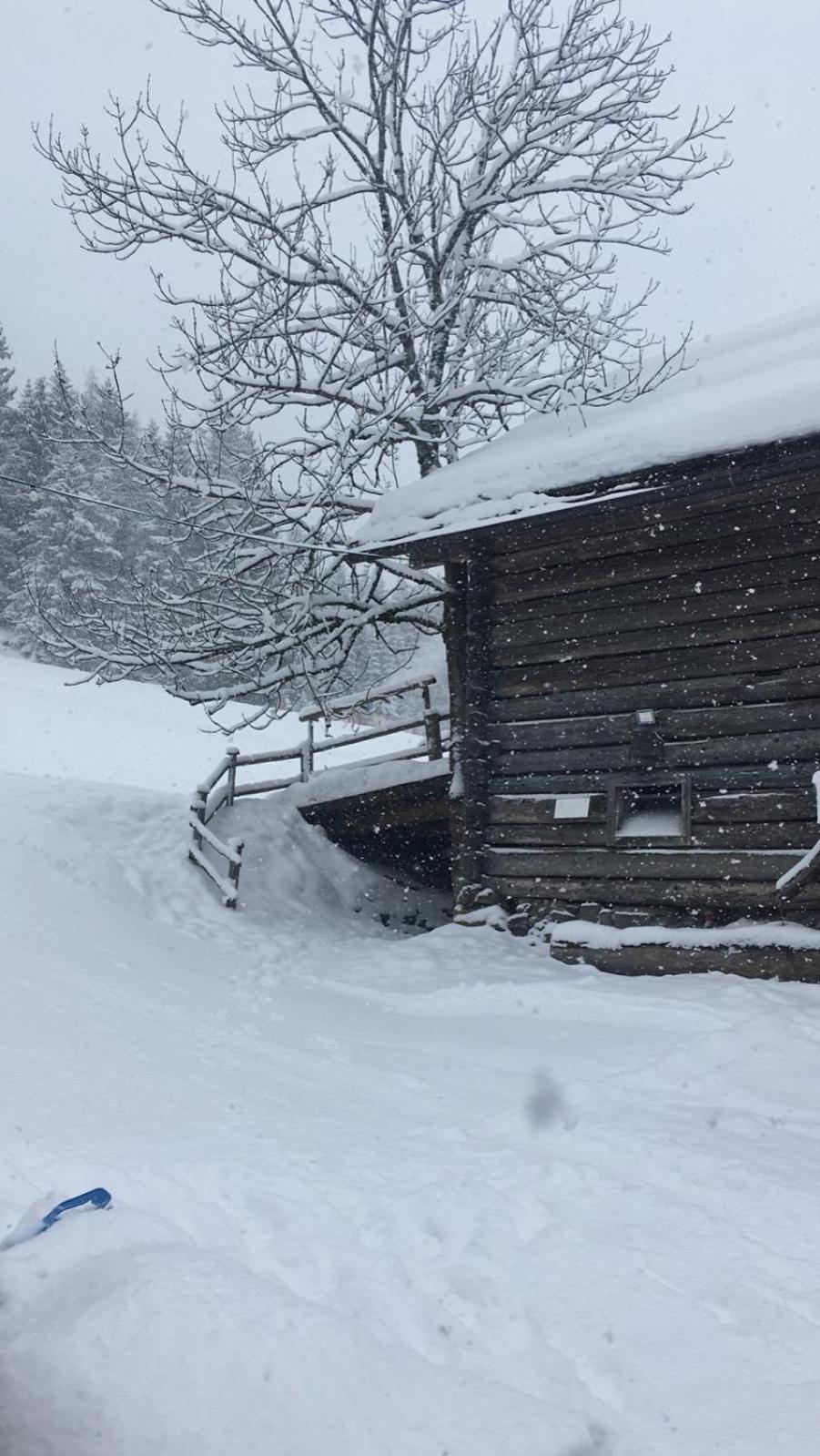 Appartement Bär
