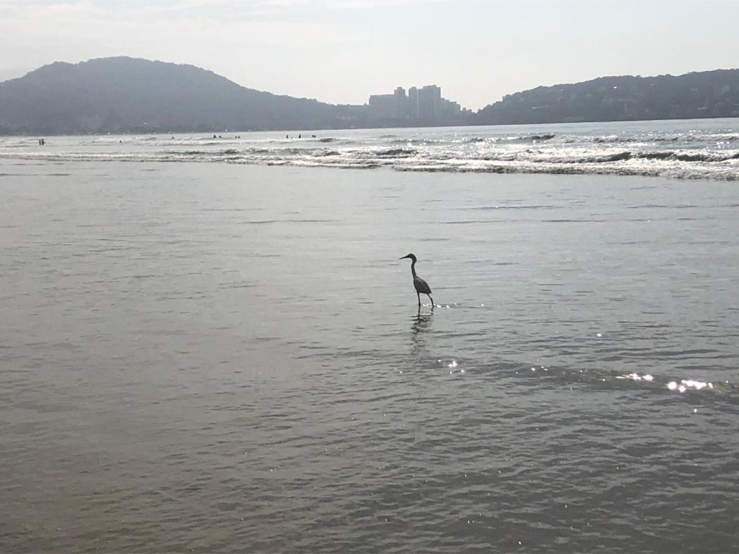 3 dormitórios no Guarujá, próximo ao Aquário! Sinta-se em casa!