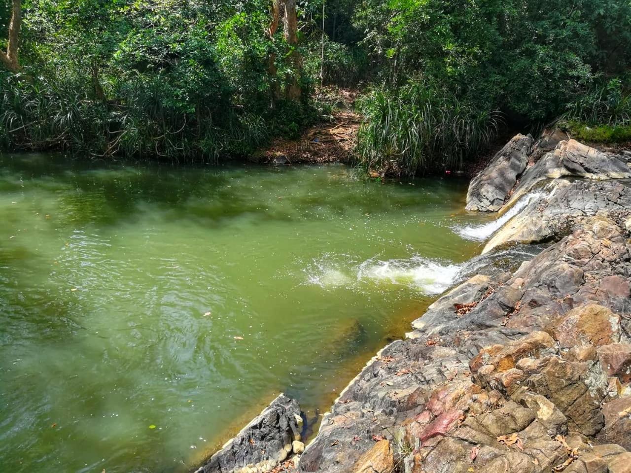 Photo 26