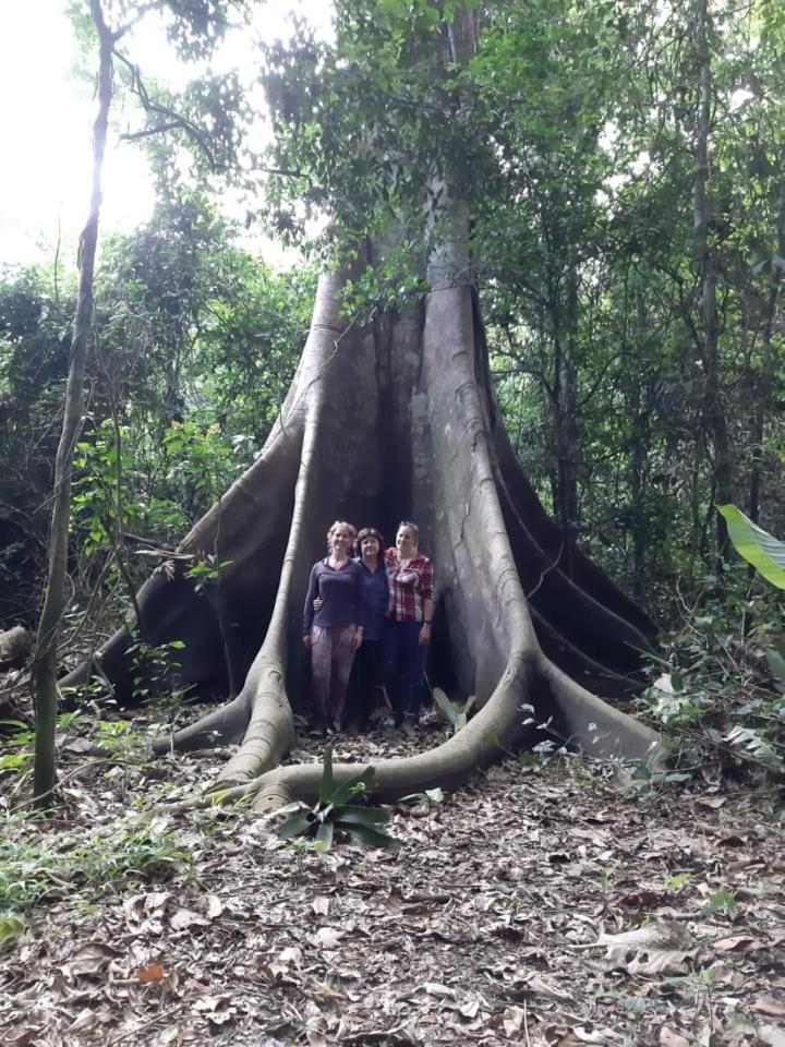 Ecolucerna Lodge Tambopata