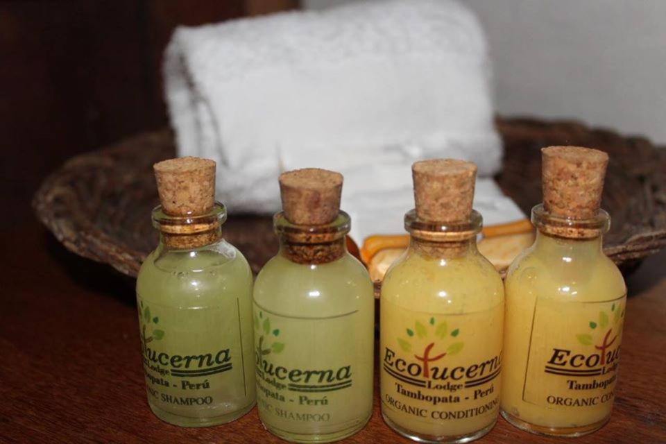 Ecolucerna Lodge Tambopata
