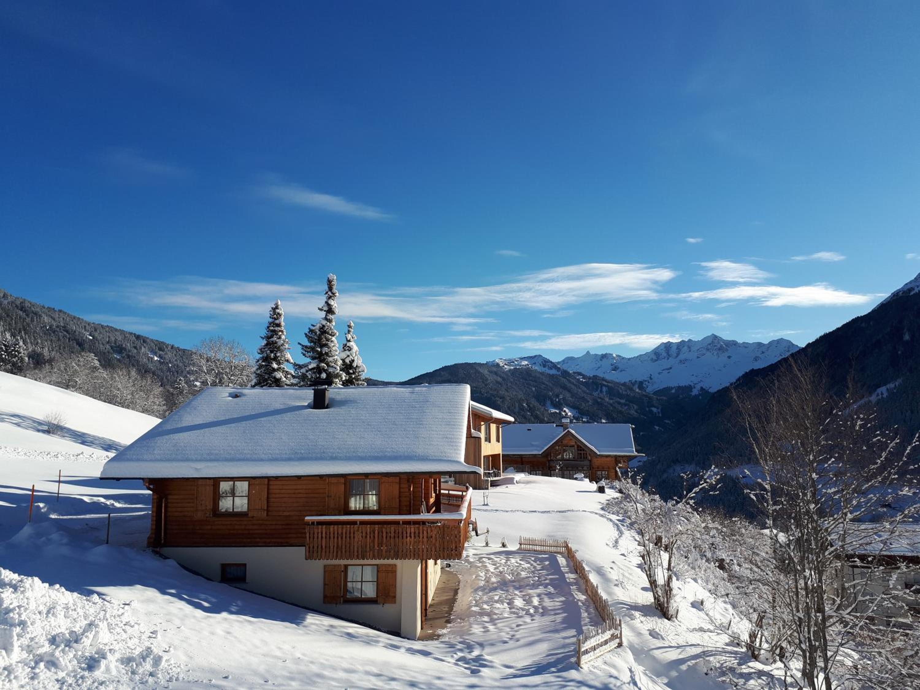 Panorama Chalet Montafon