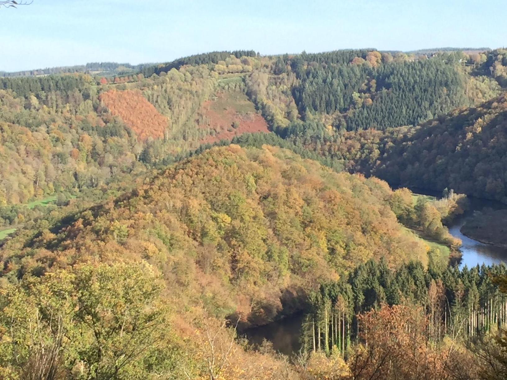 Charme à Bouillon