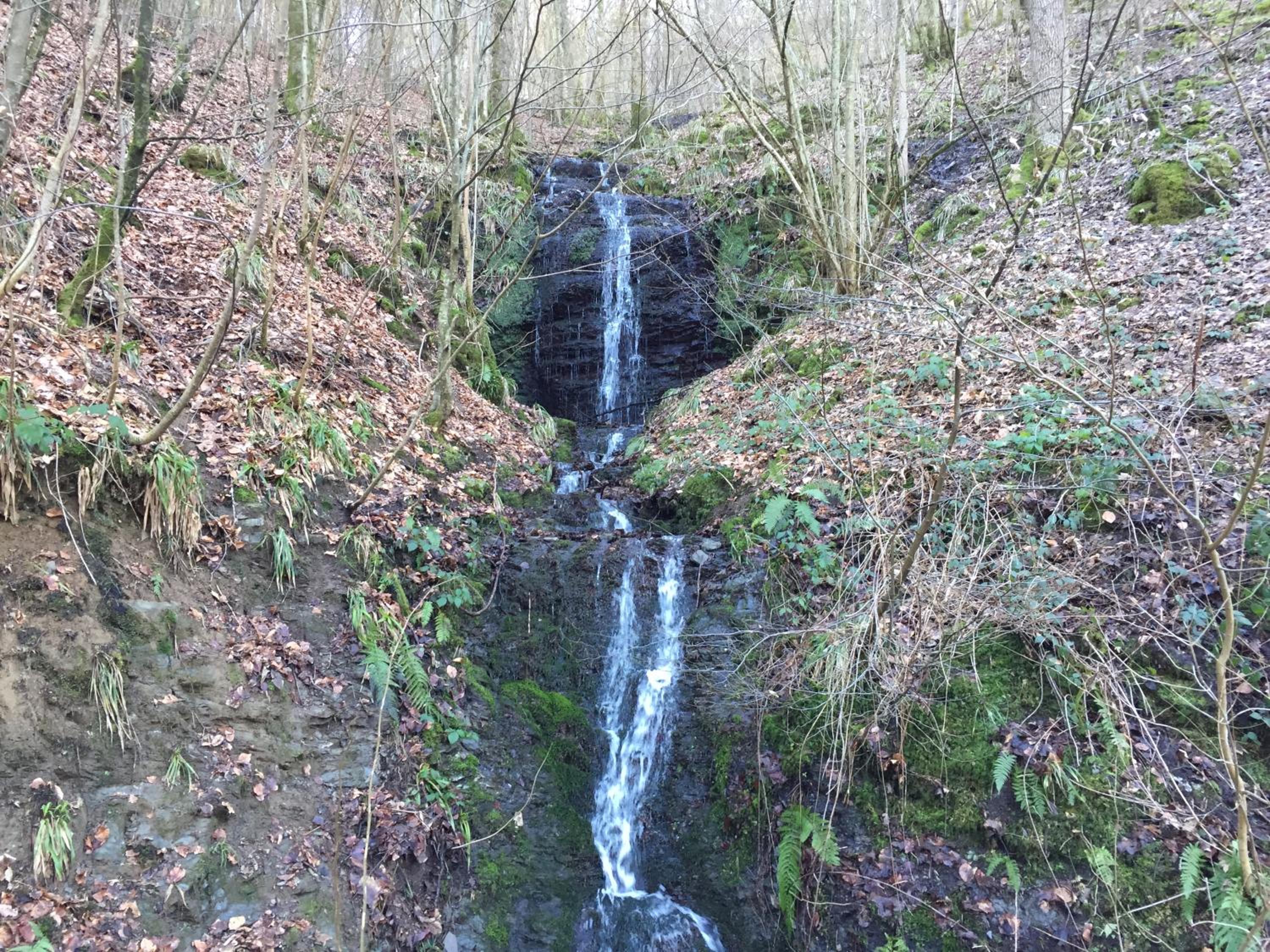 Charme à Bouillon