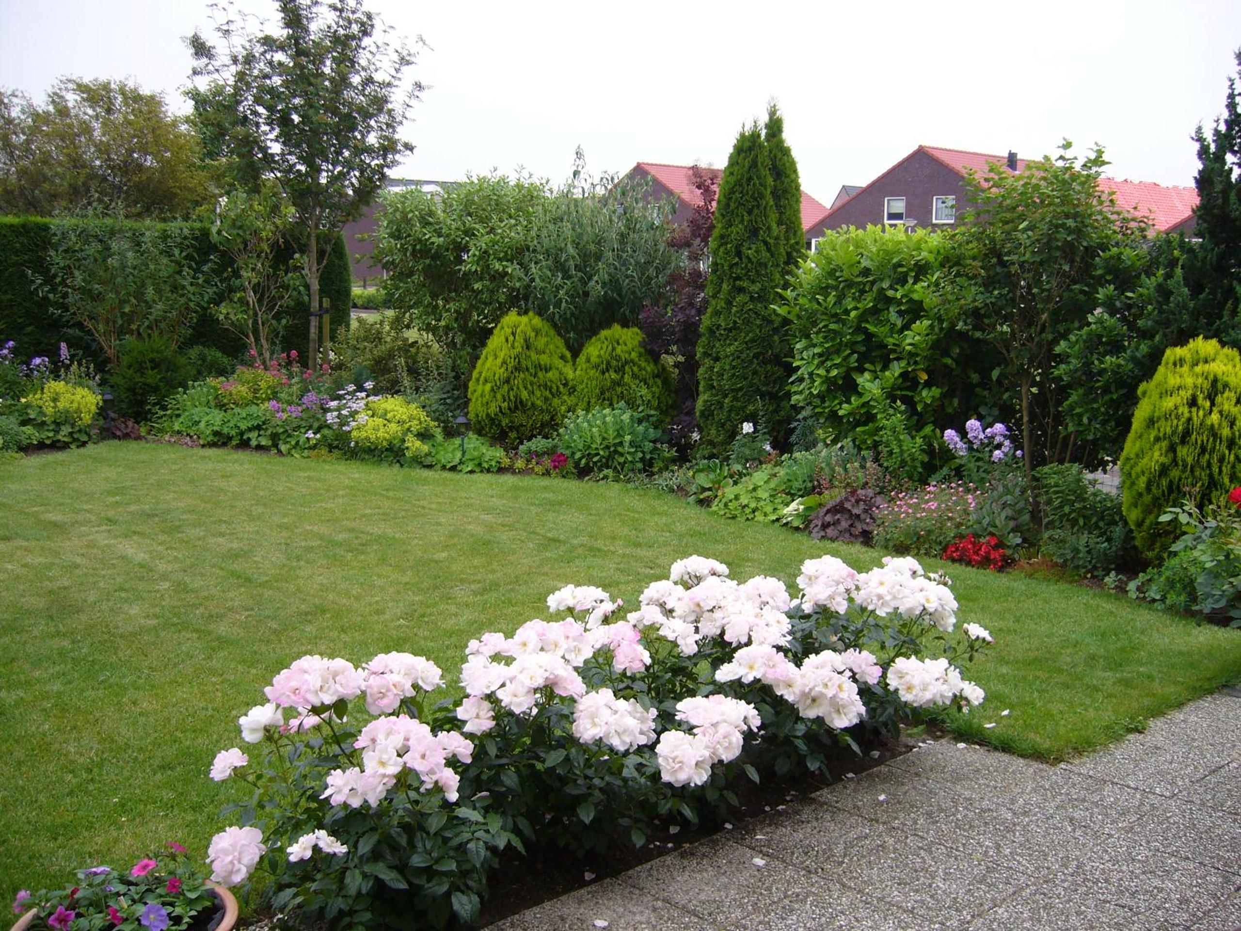 Photo 25