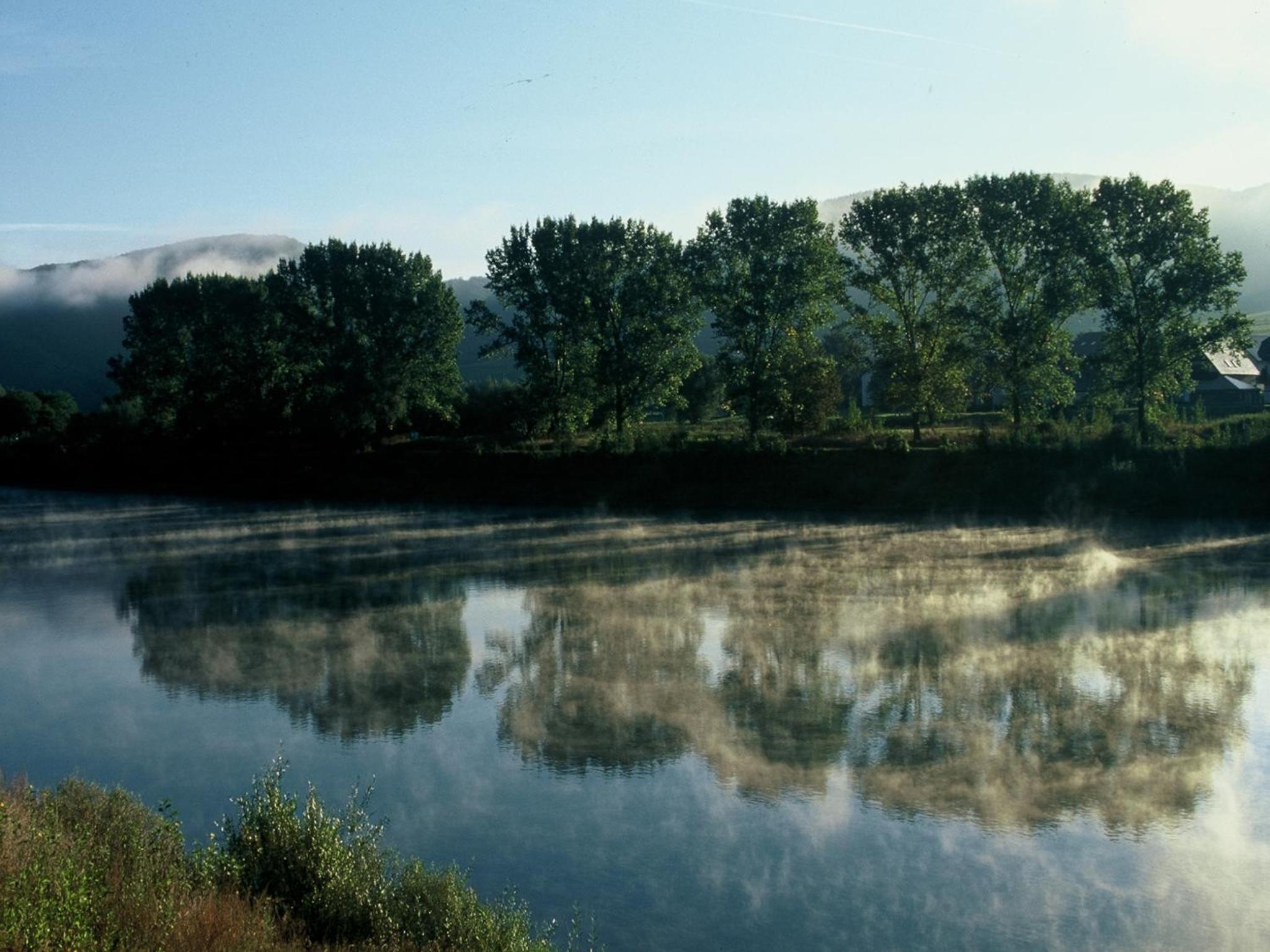 Appartement Moselblick view 4