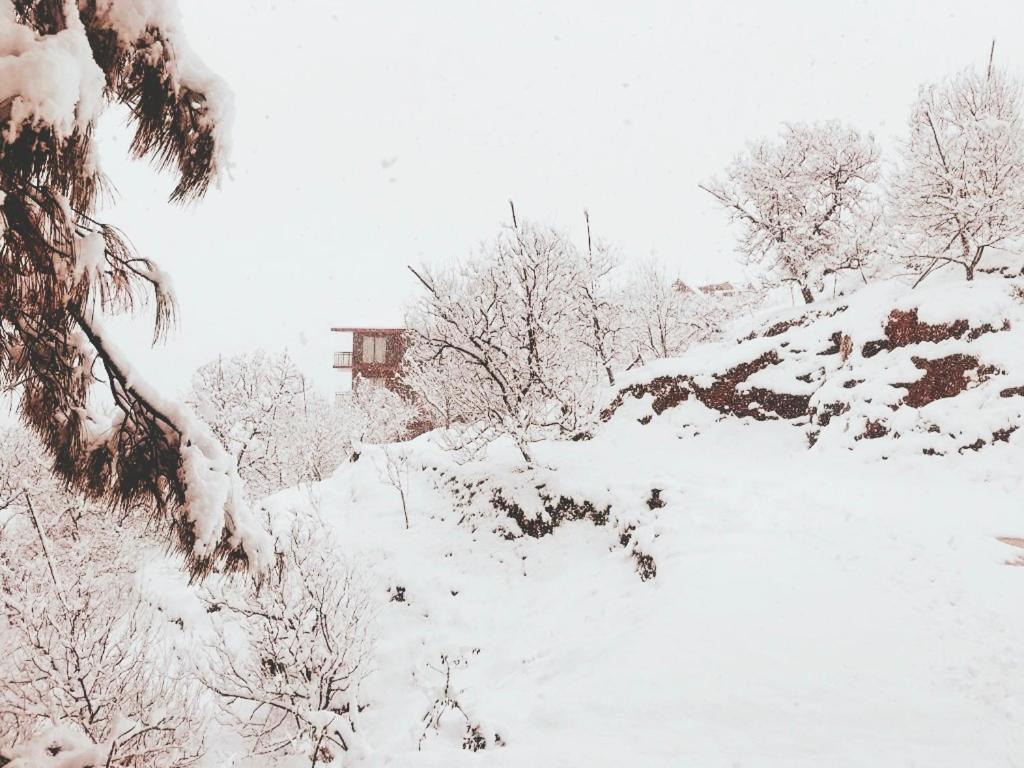 Aaramgah view 5