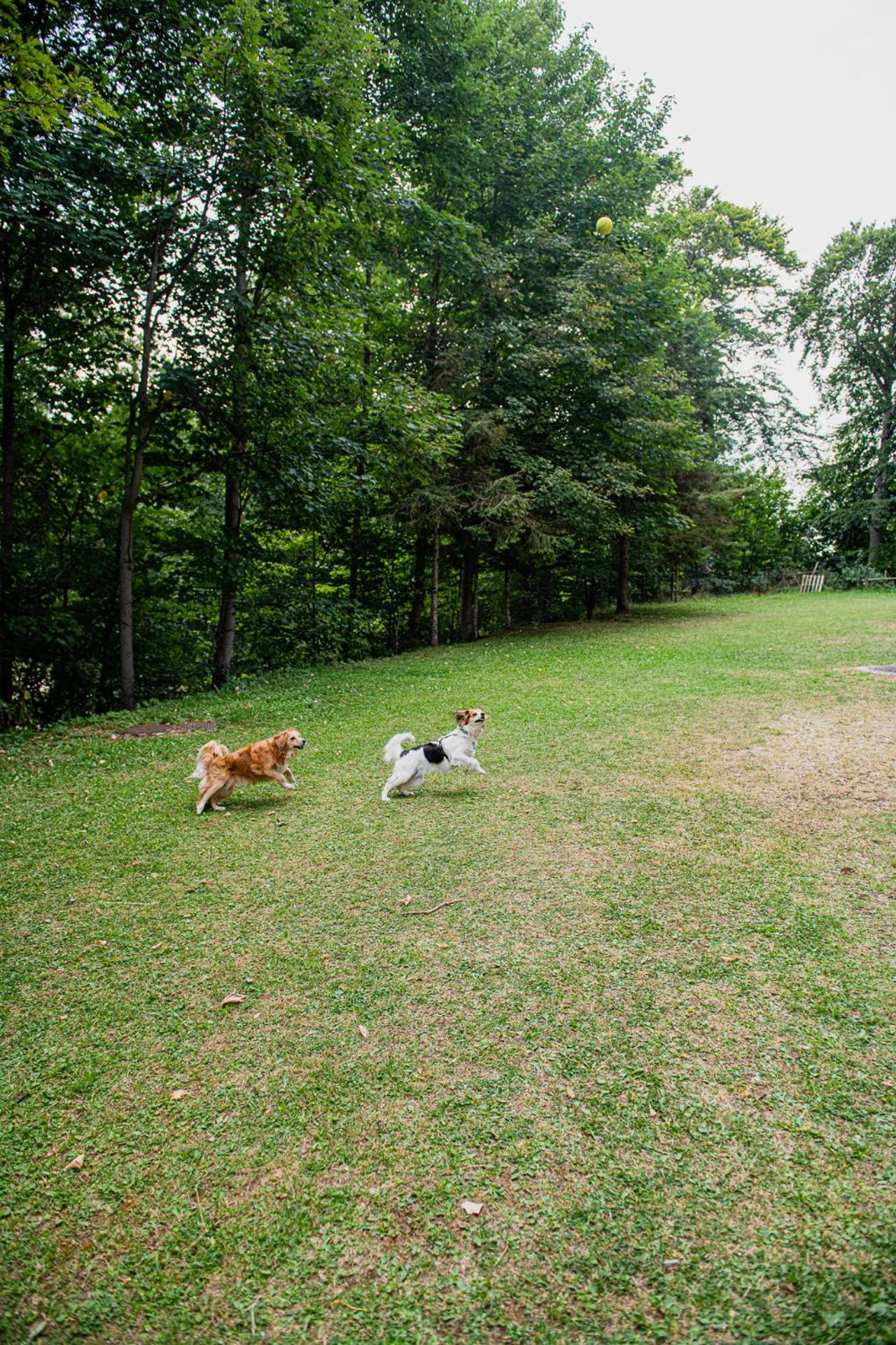 Photo 52