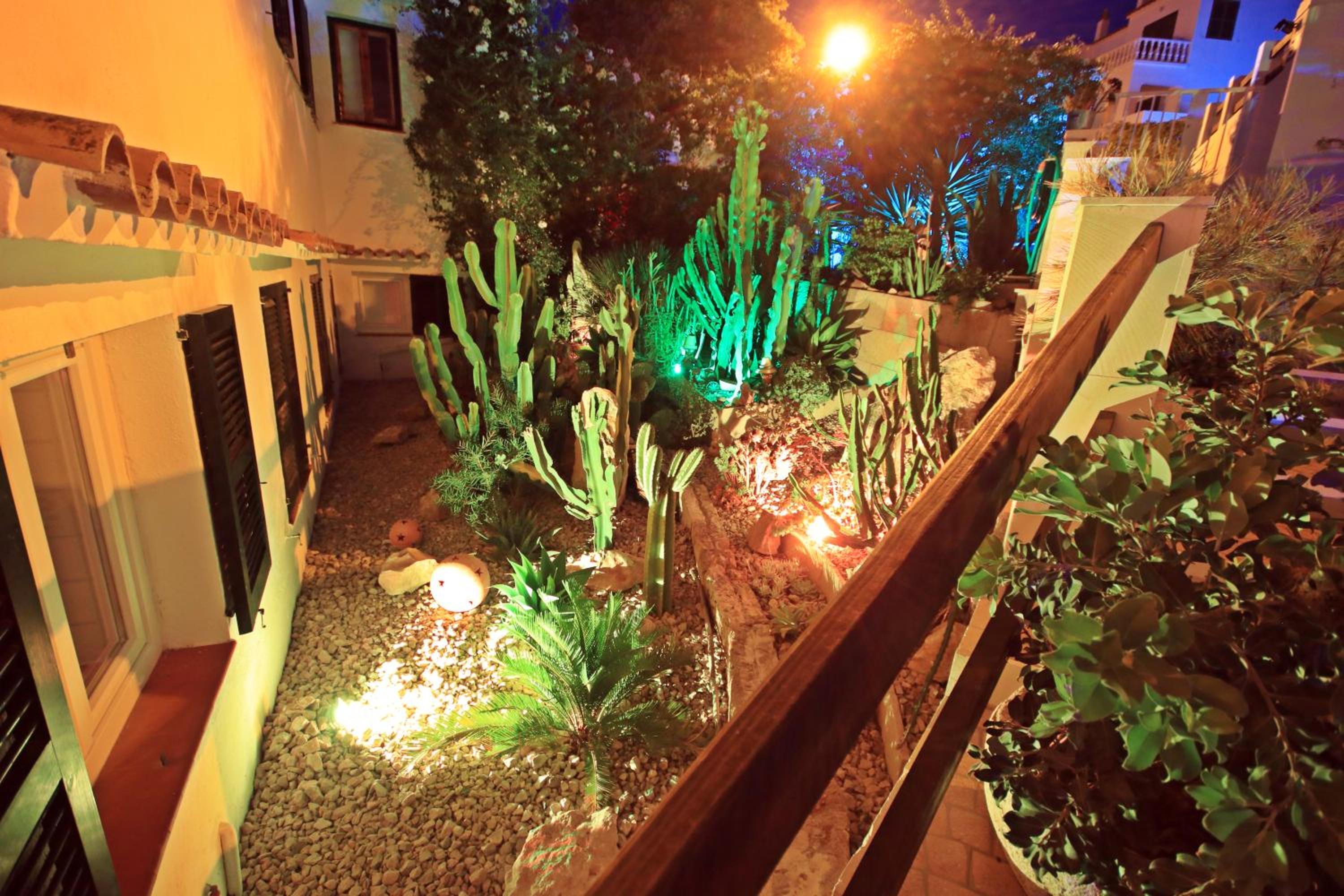 Photo 25