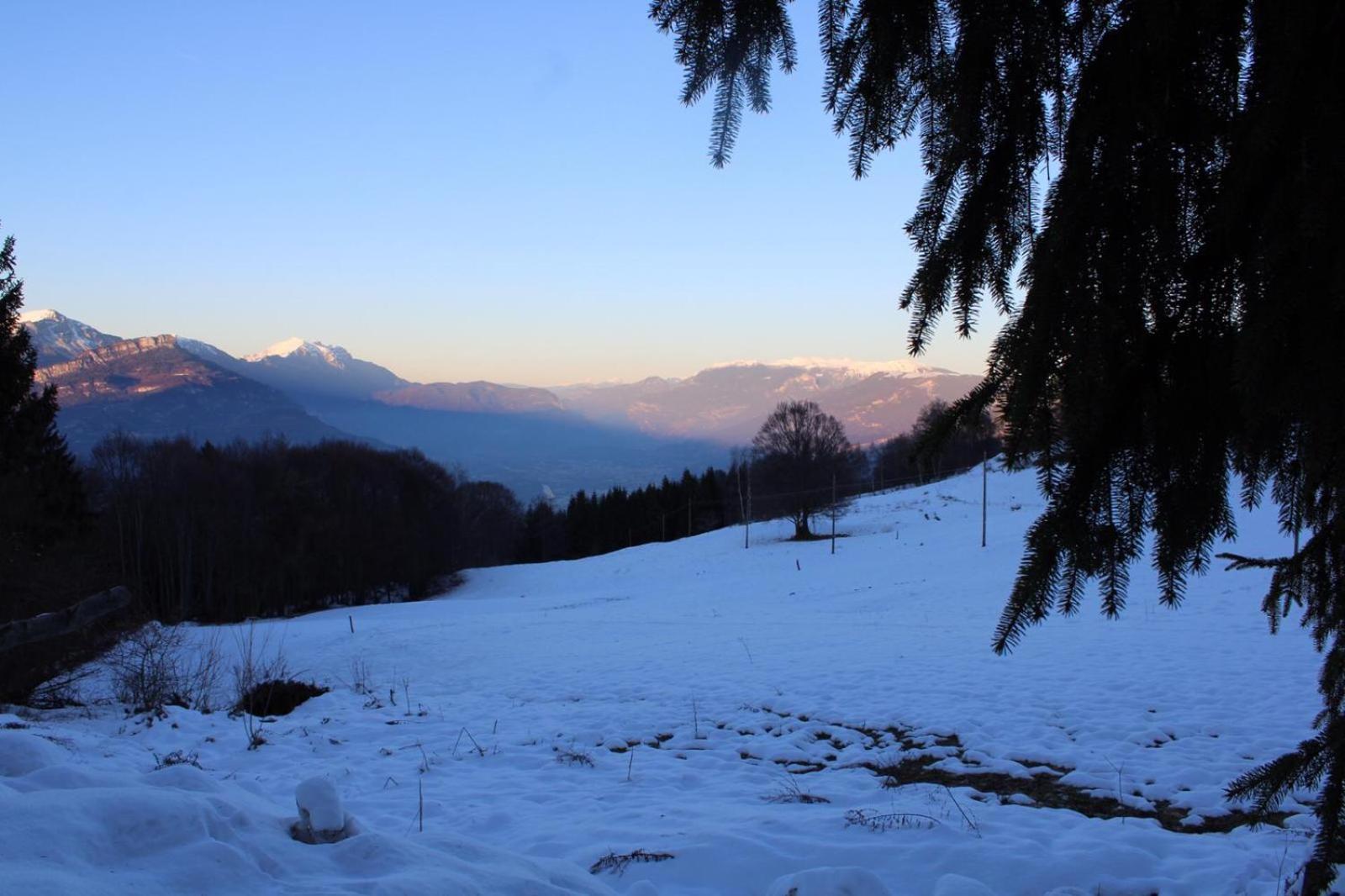 Residenza il bosco view 5
