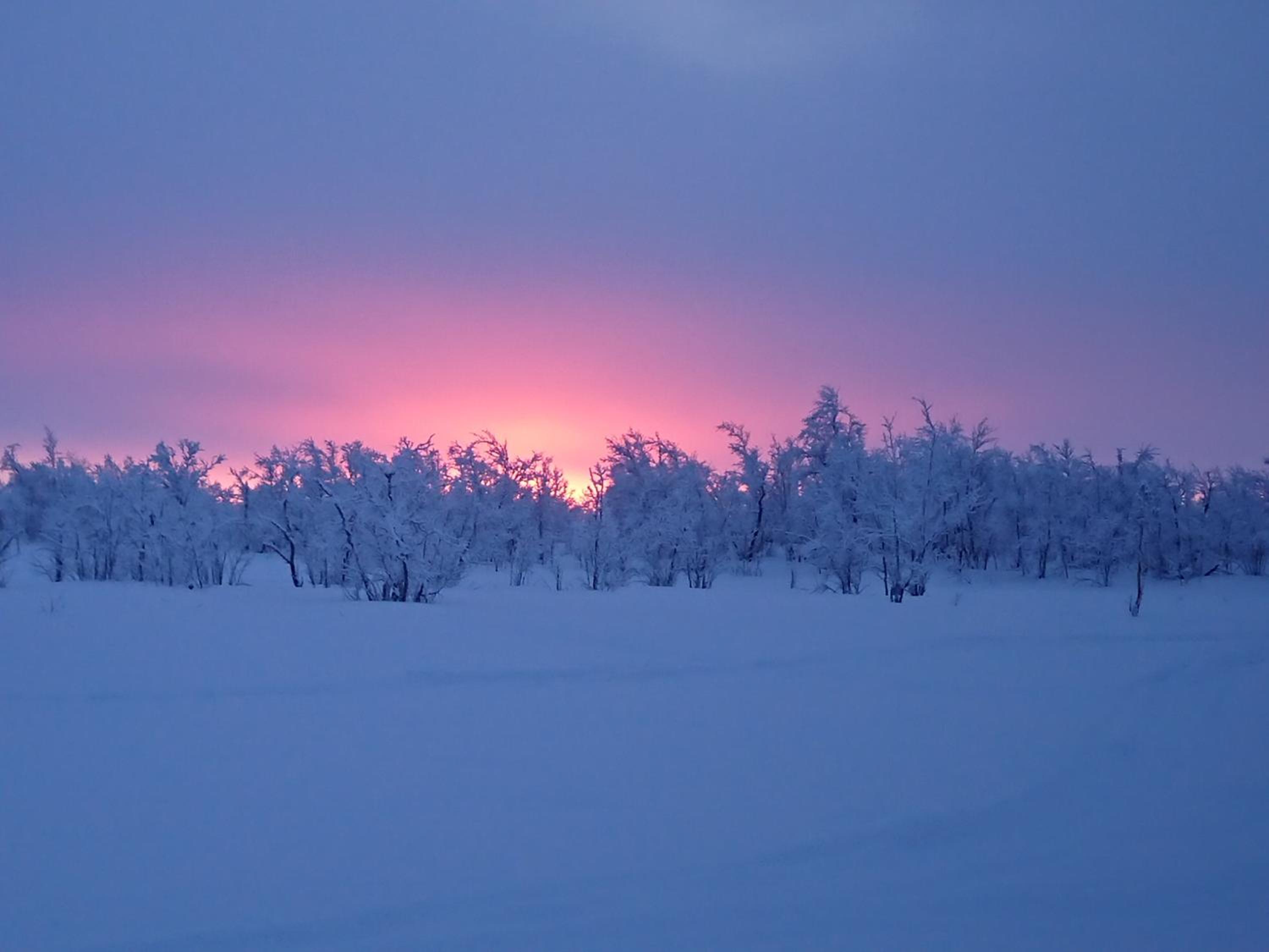 Máttaráhkká Northern Light Lodge 21