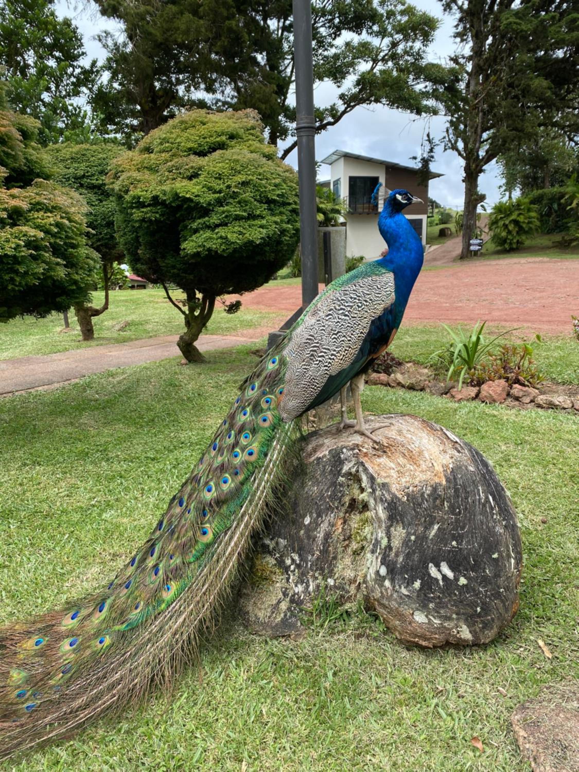 Villa Calas
