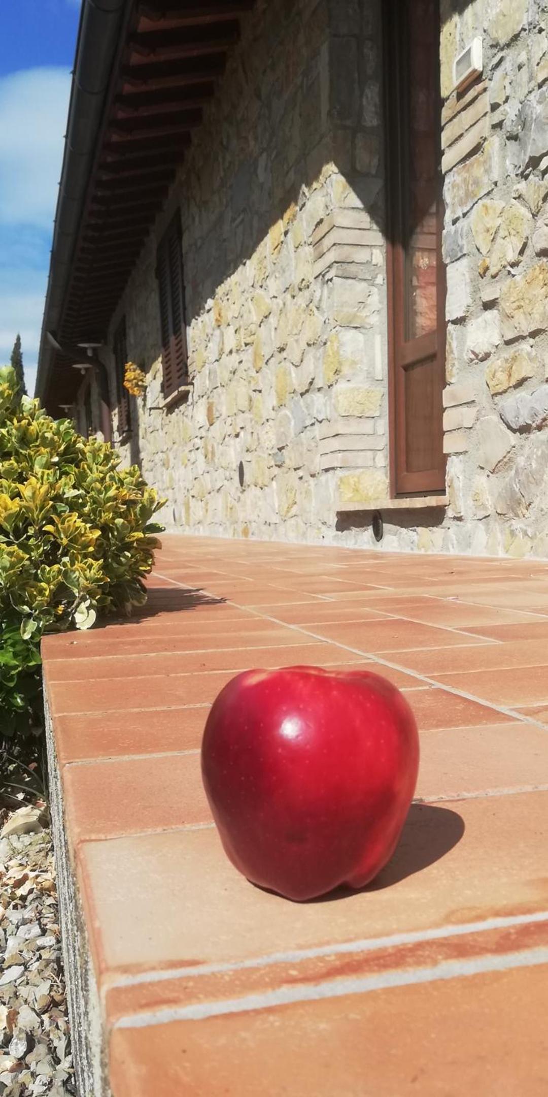 Agriturismo Collomici