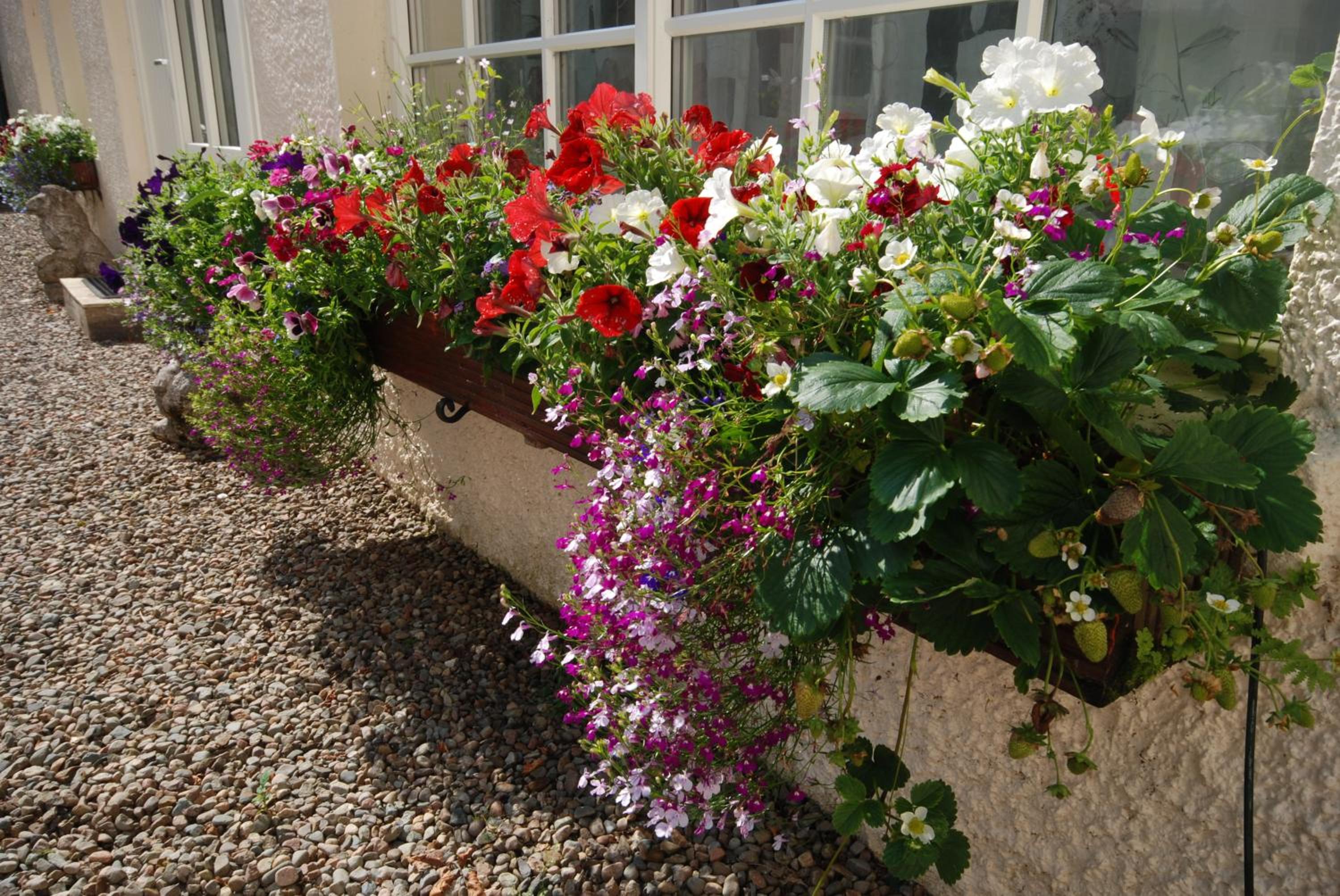 Bonawe House Holiday Cottages