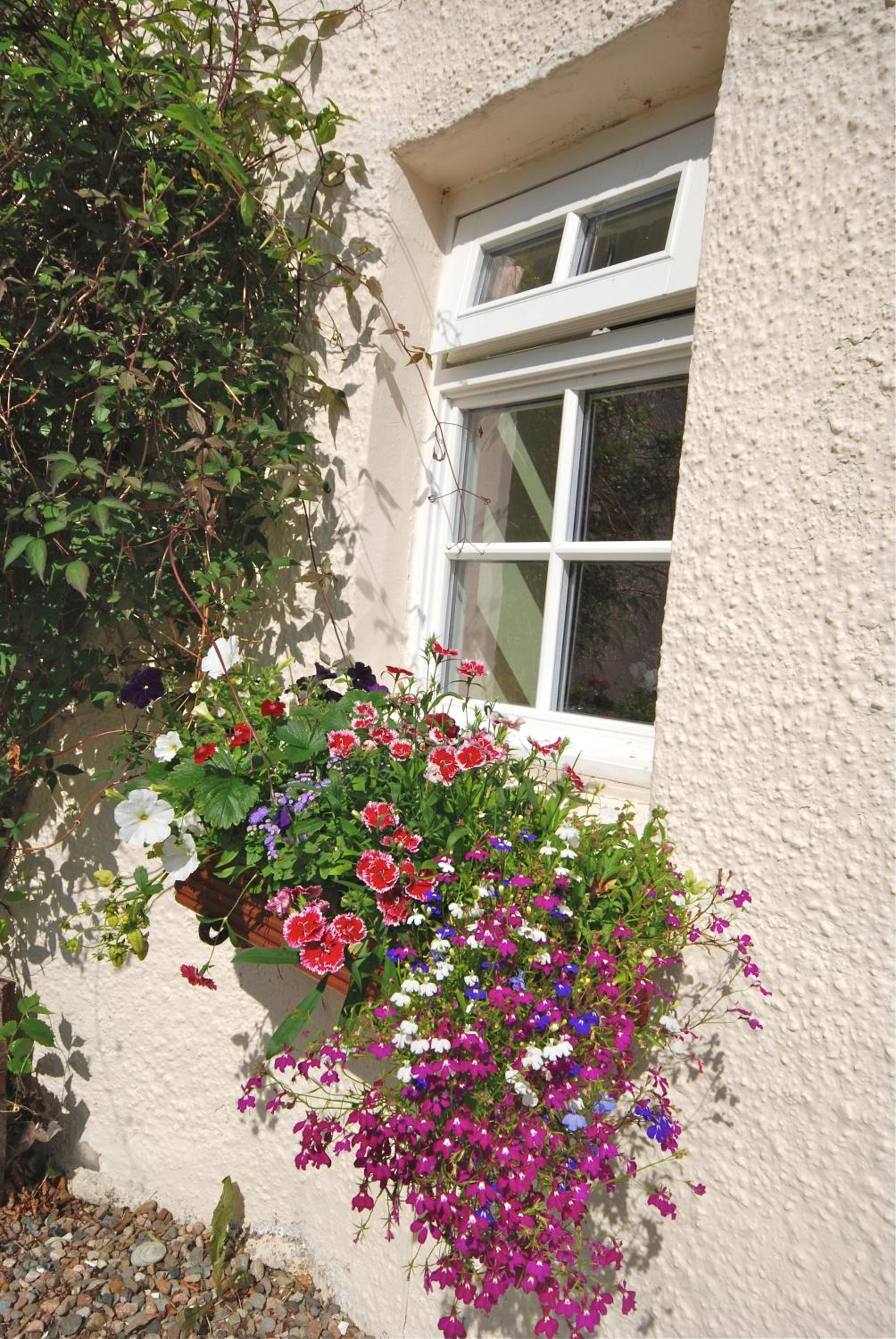 Bonawe House Holiday Cottages