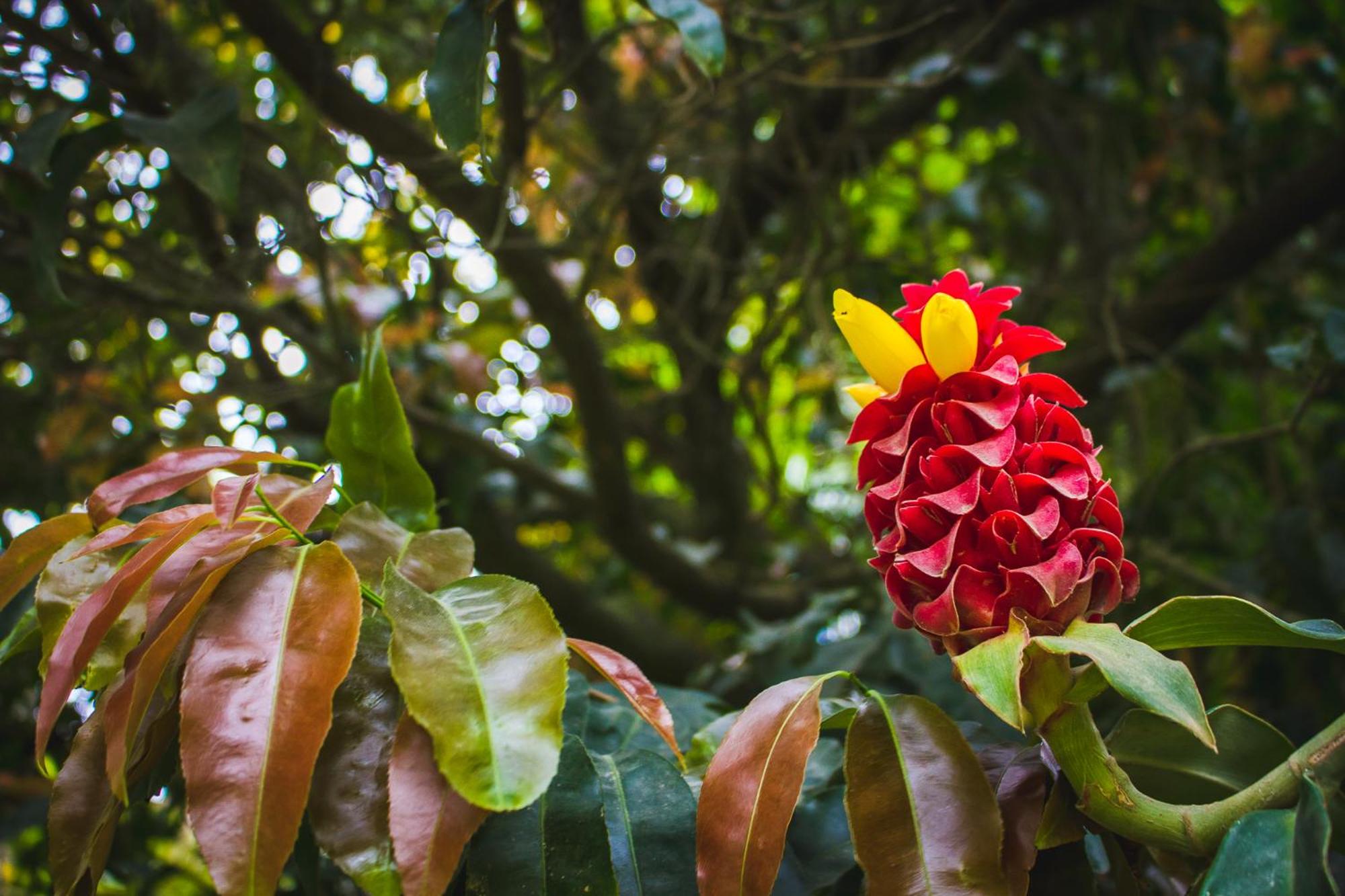 Pousada Além do Jardim