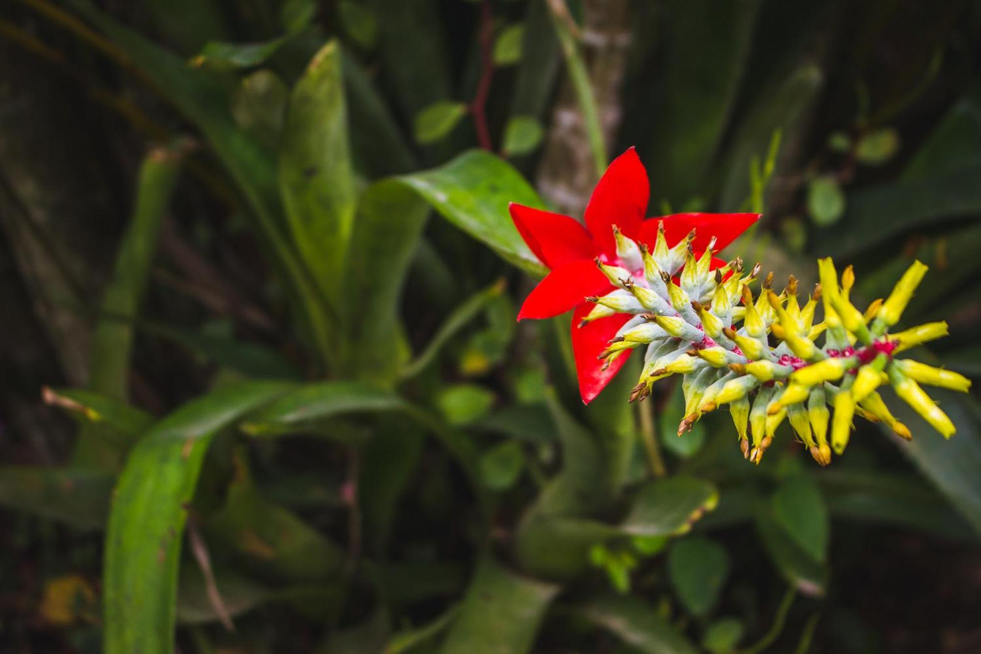 Pousada Além do Jardim