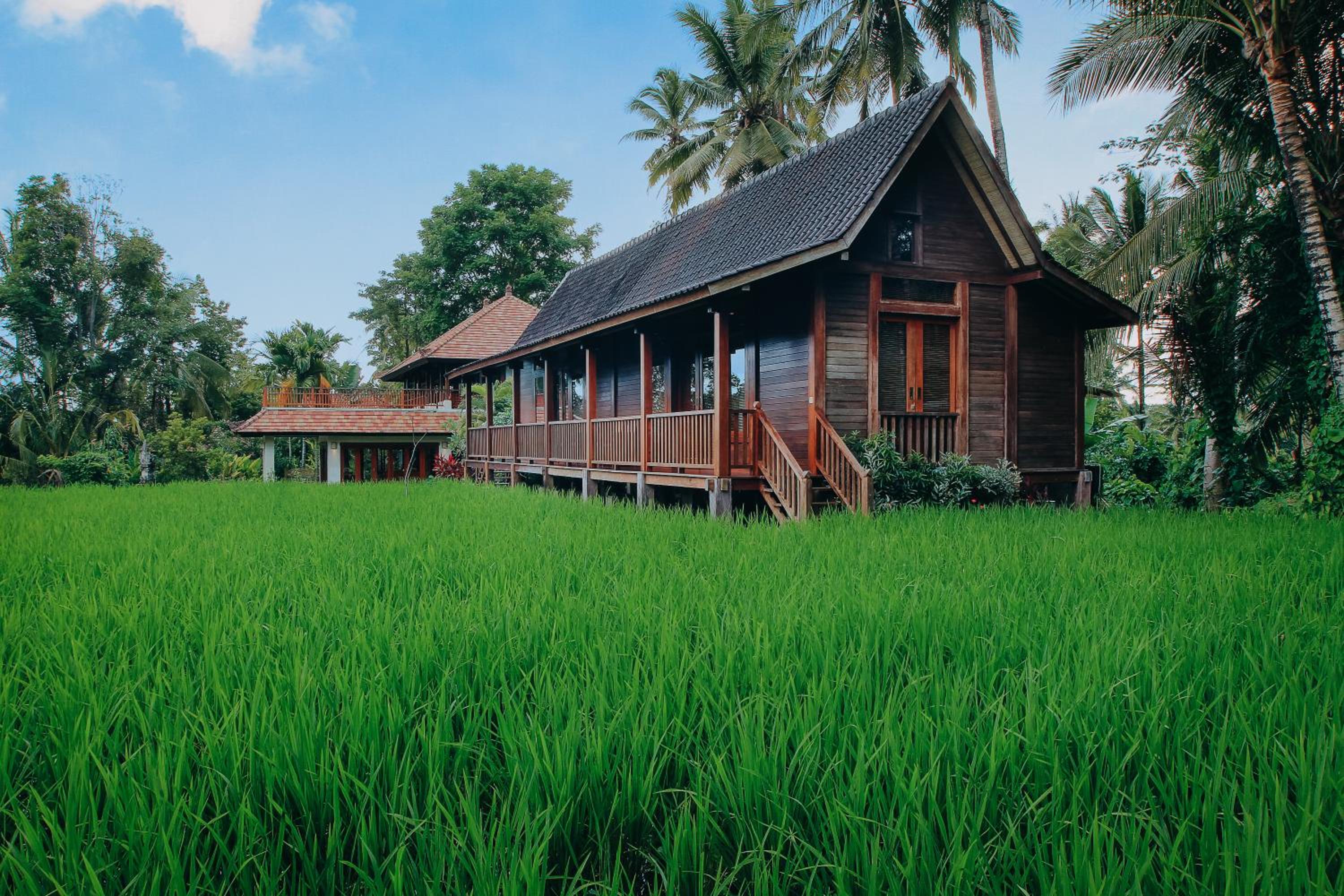 BeingSattvaa Luxury Ubud