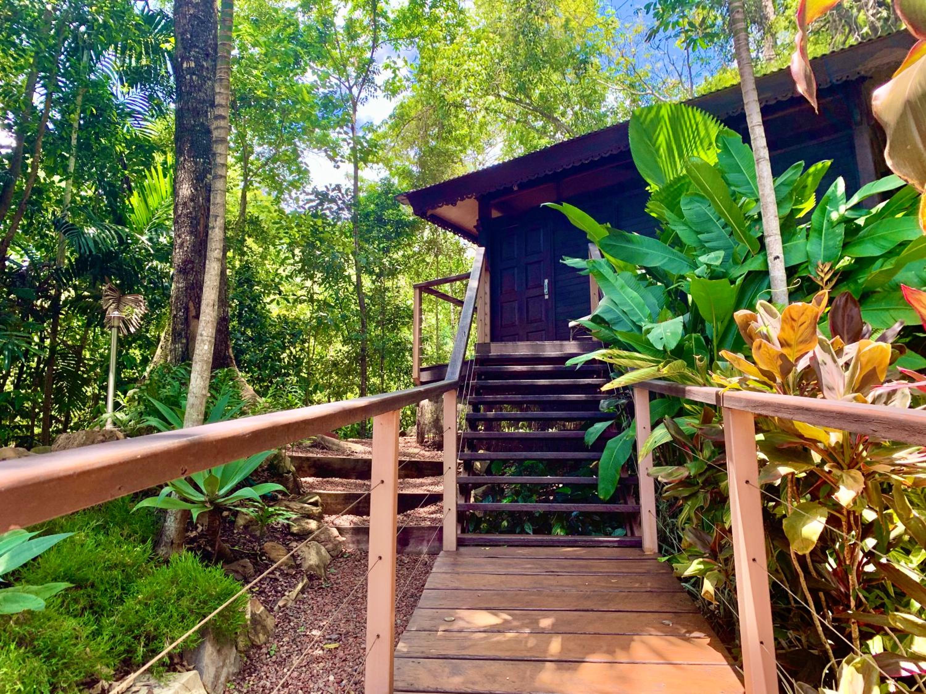 Cairns Rainforest Retreat - Image 3