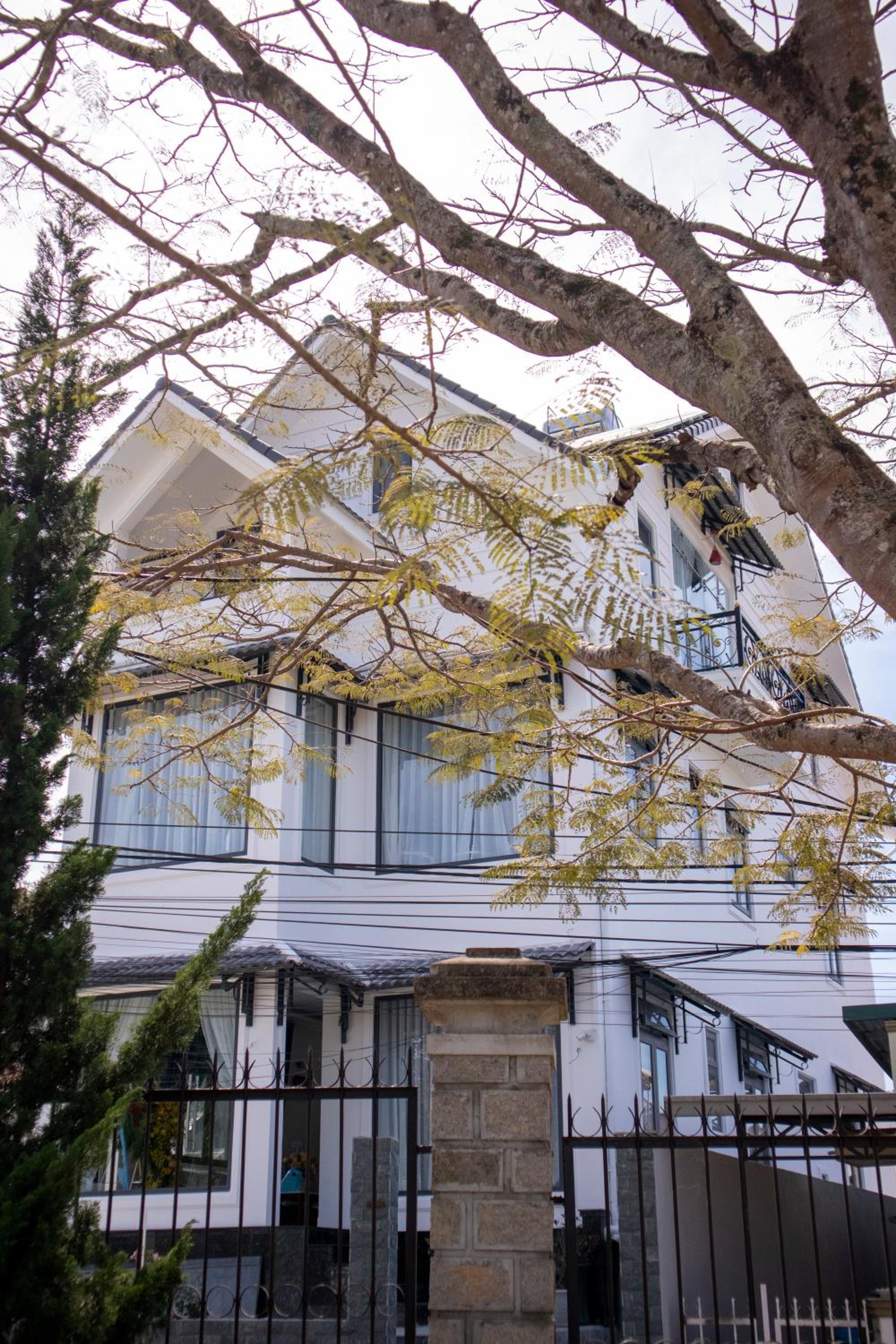 Photo 27