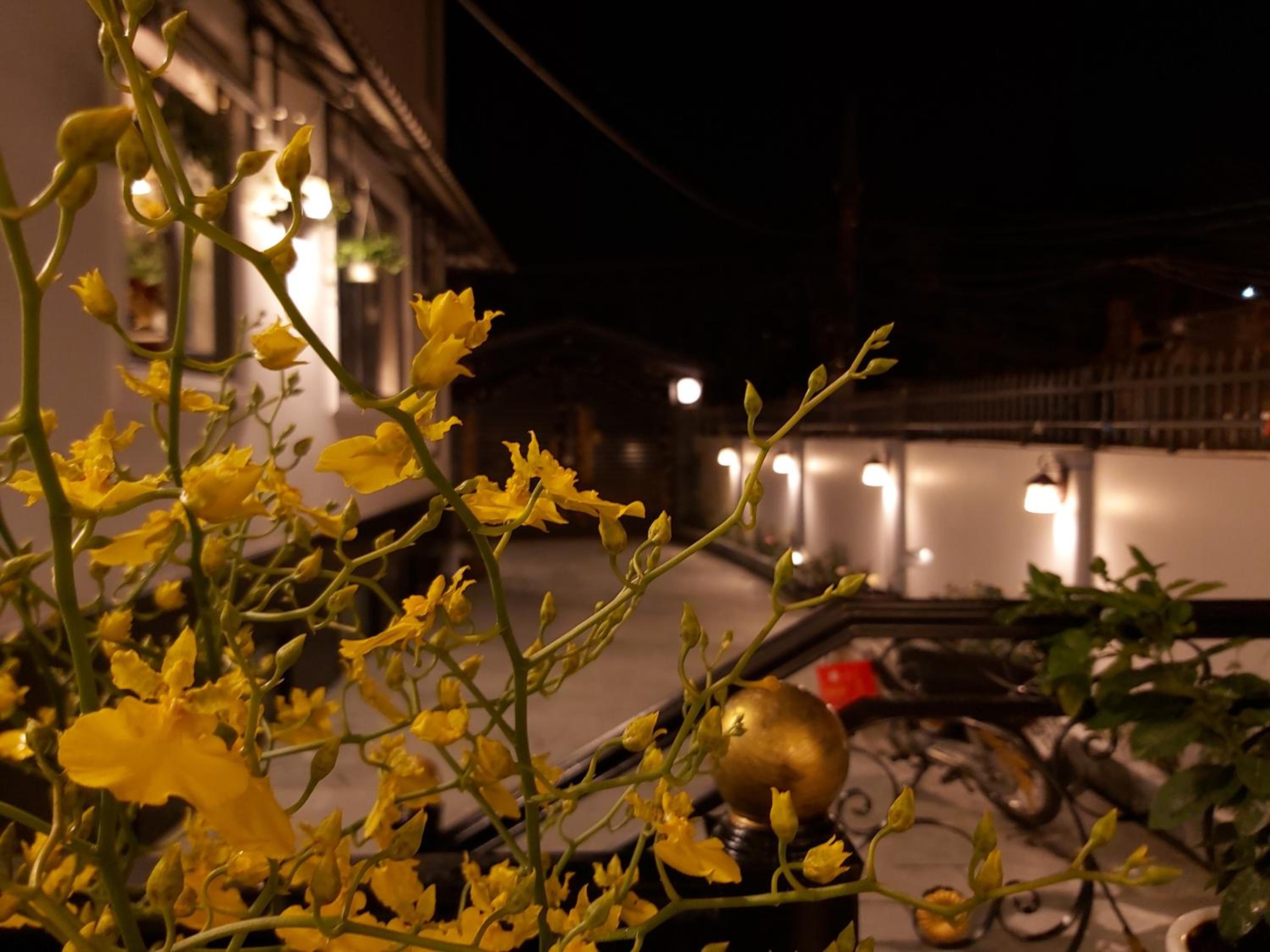 Villa Suối Mùa Xuân view 2