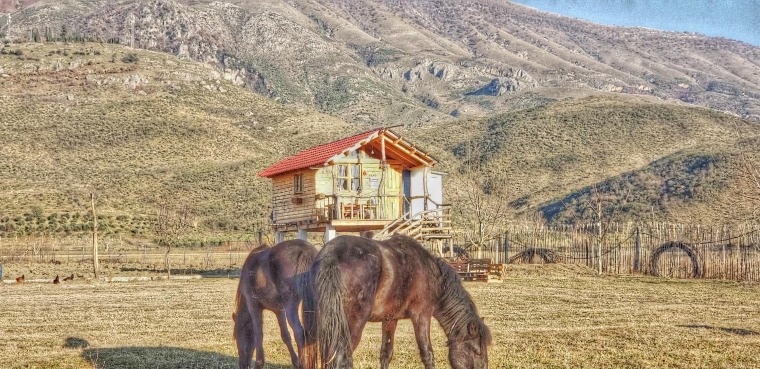 Life on the farm
