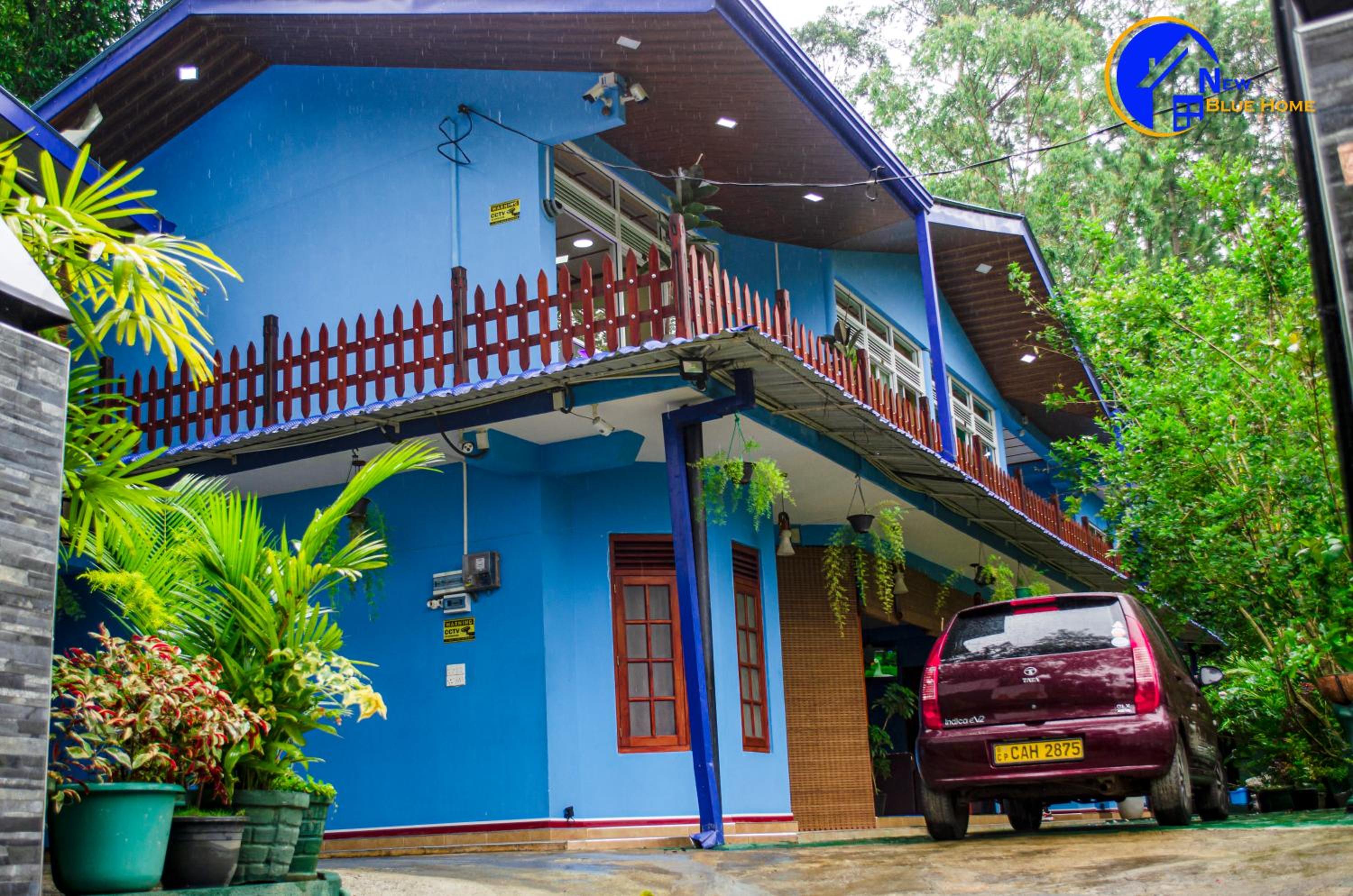 New Blue Home