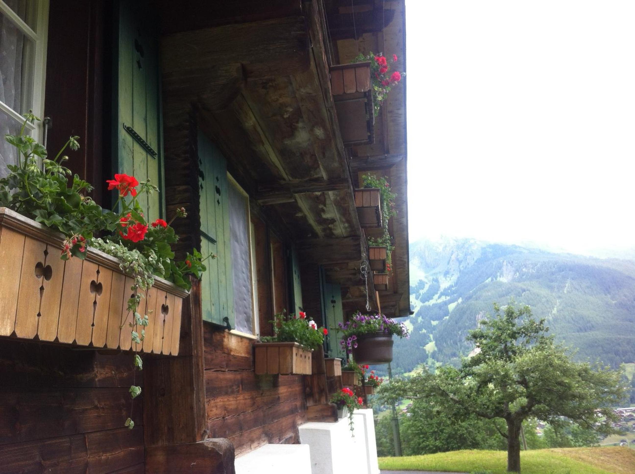 Ferienwohnung im Grünen view 5