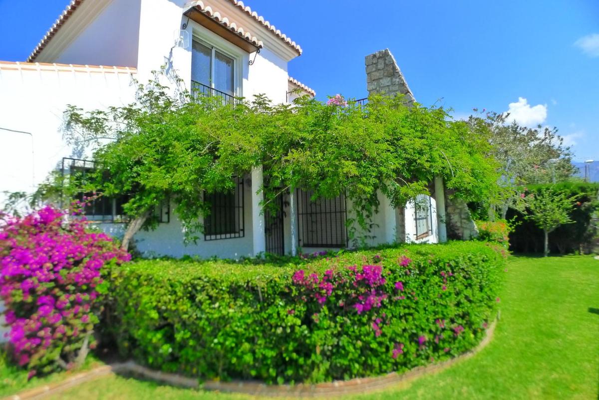 Villa Angela photo 3
