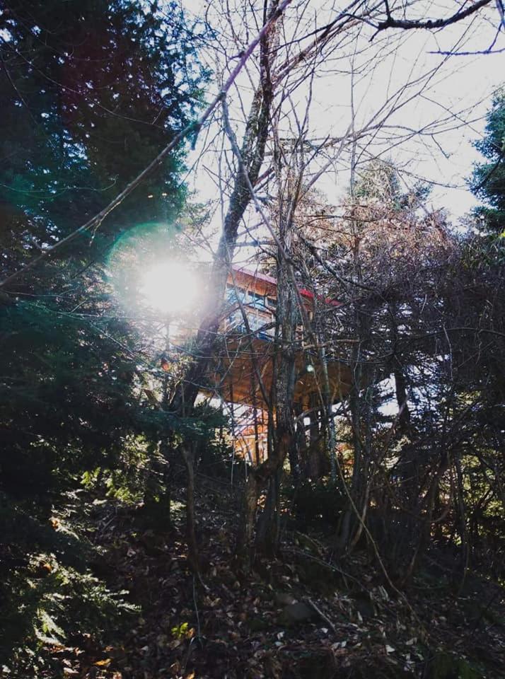 Photo 45