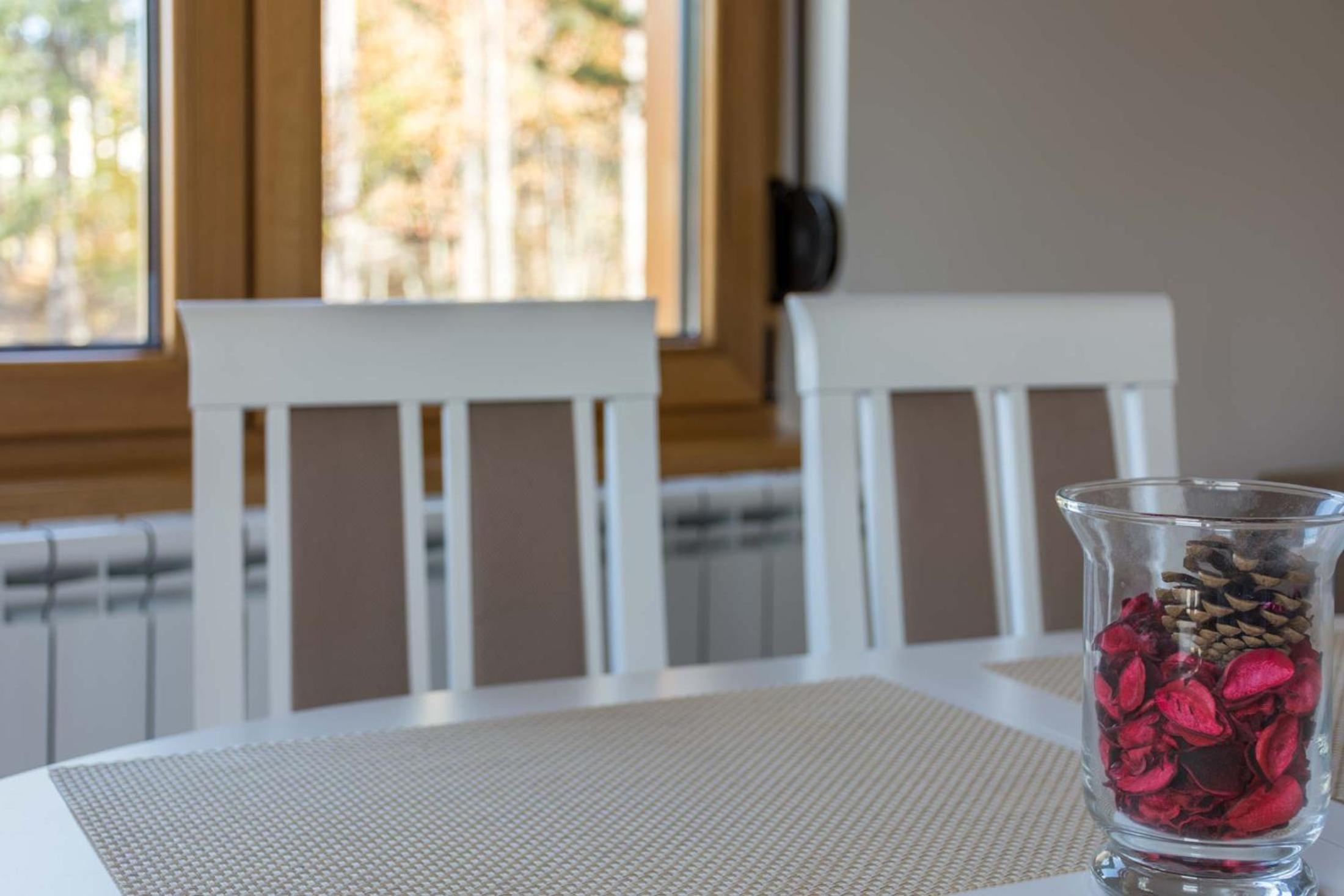 Apartman Veselinovic view 5