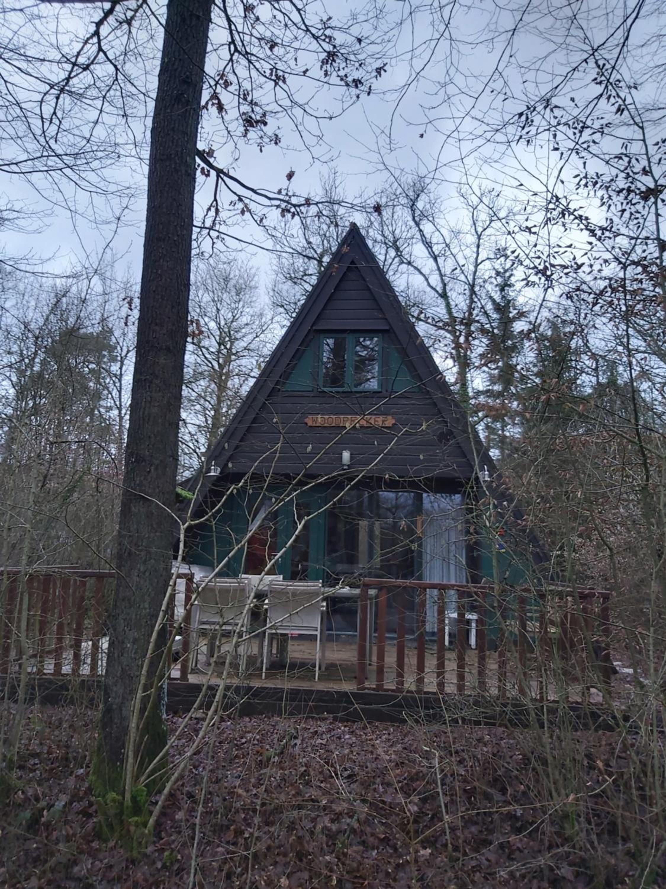 Photo 6
