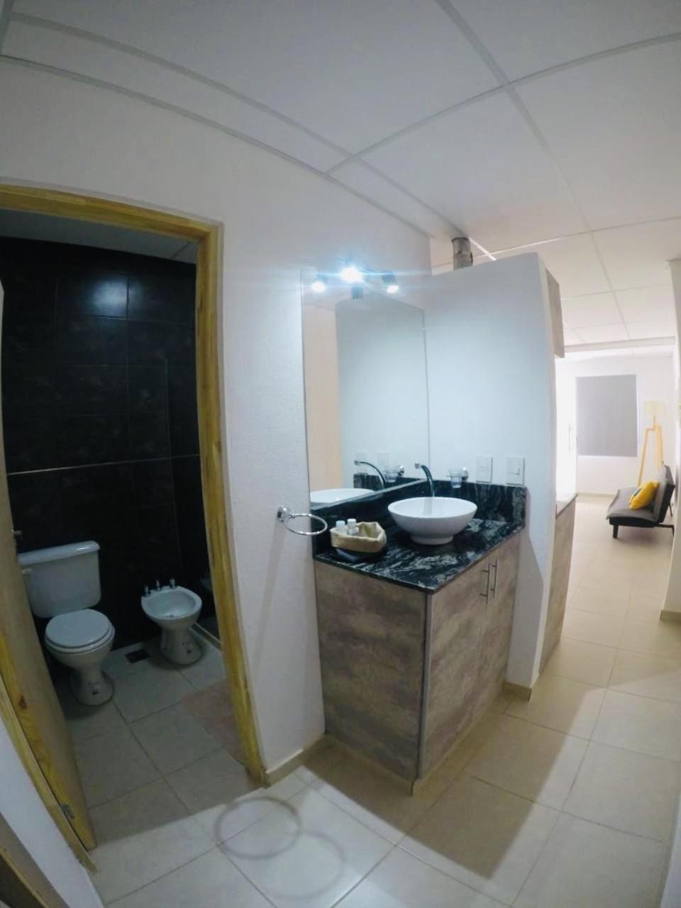 C1 Suite