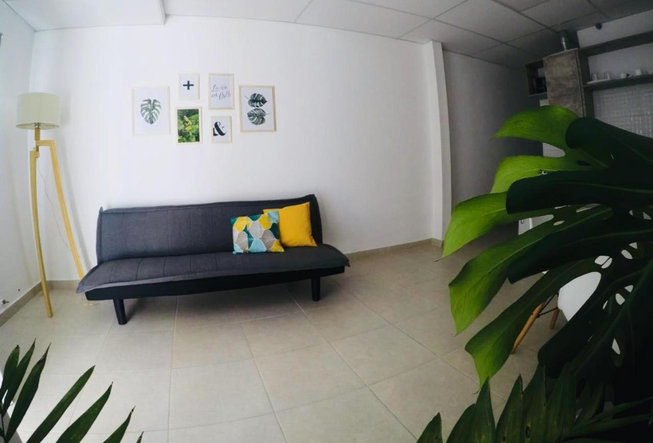 C1 Suite
