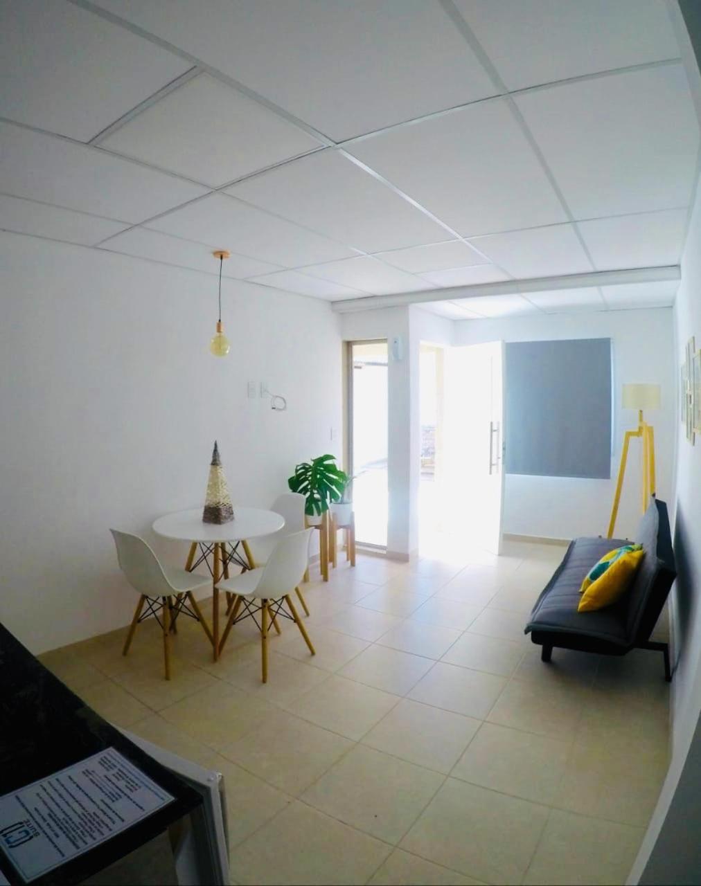 C1 Suite