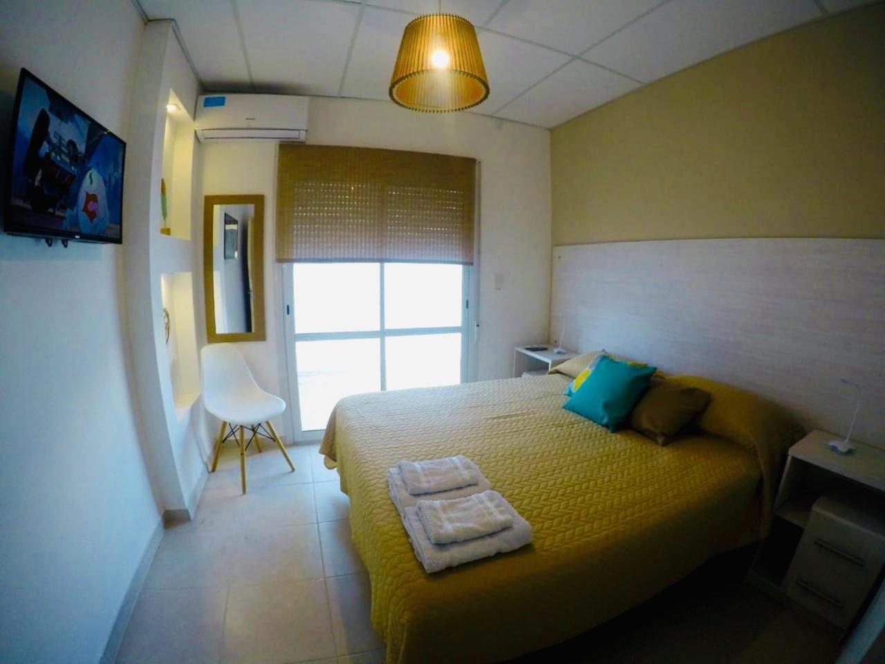 C1 Suite