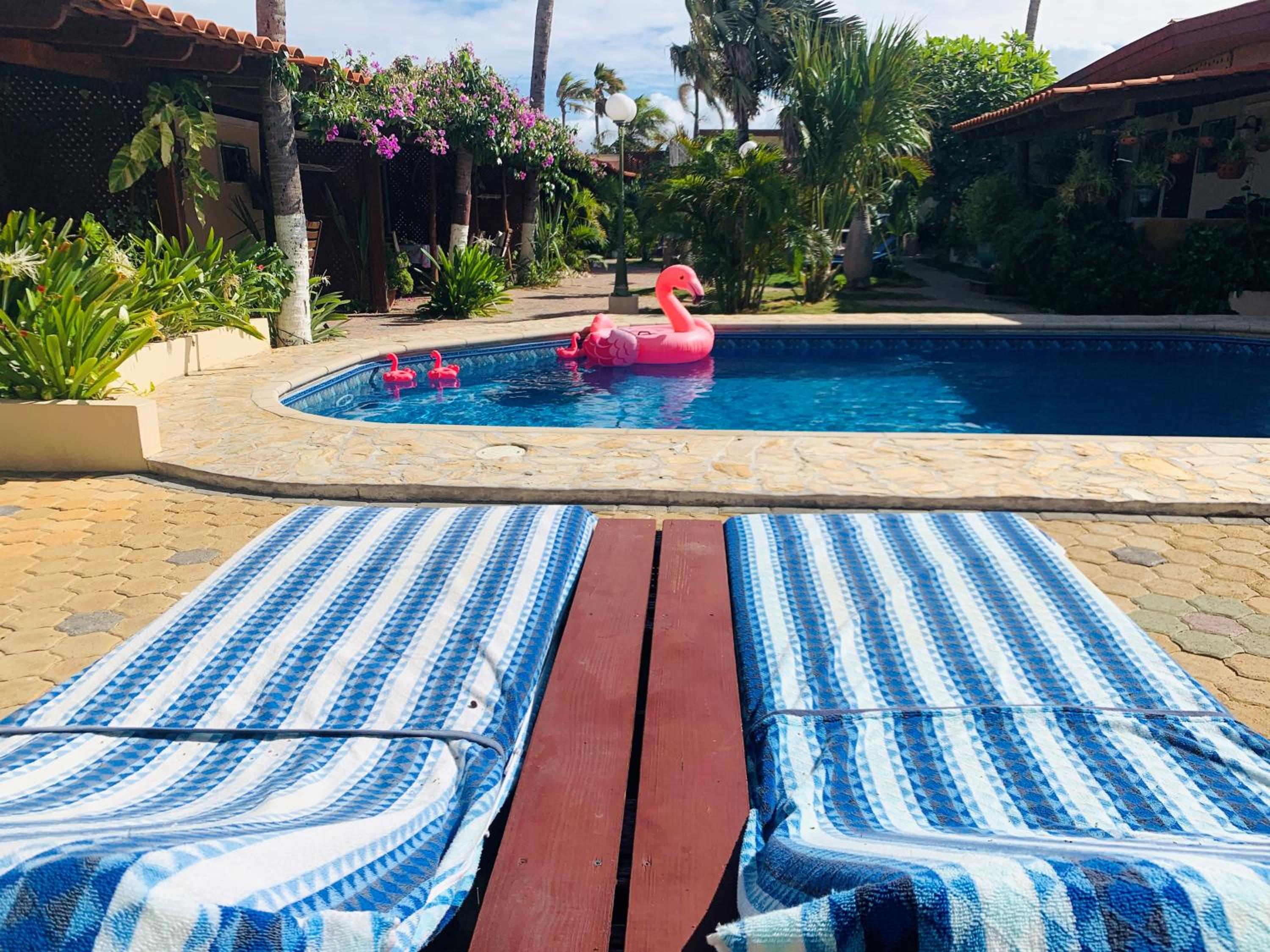 Aruba Sunset Beach Studios