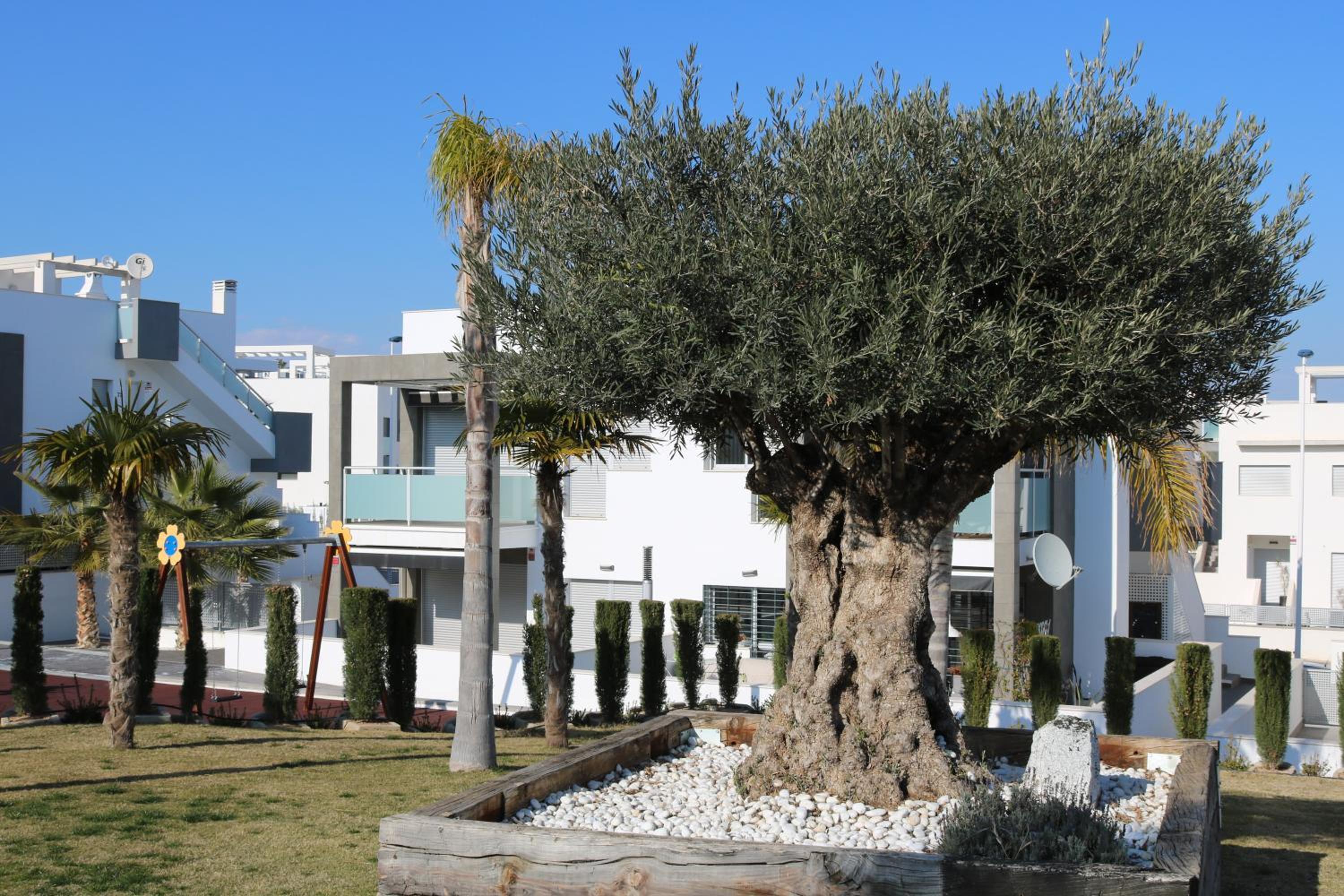 Quinto apartment