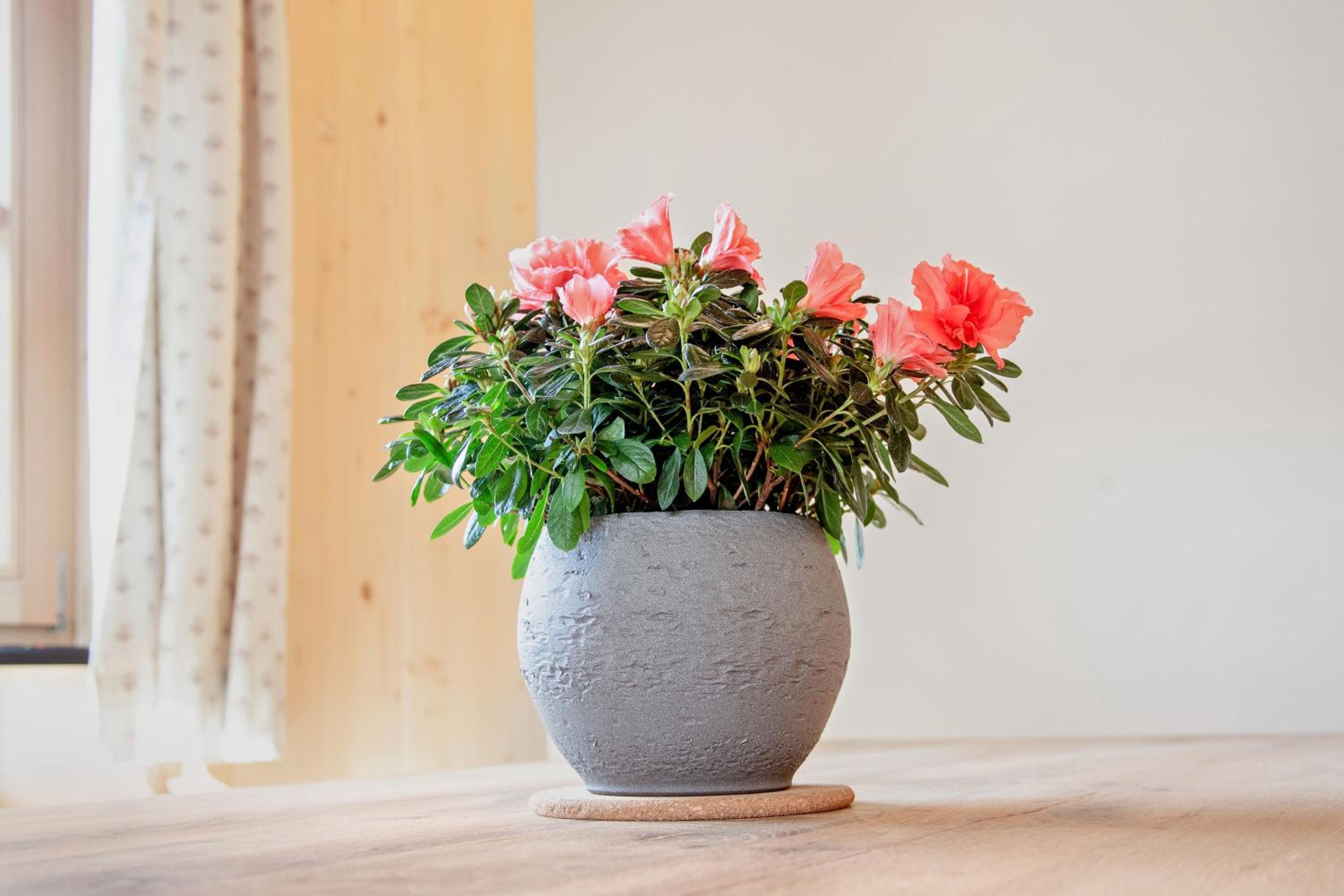 Ferienwohnung Uferweg view 3