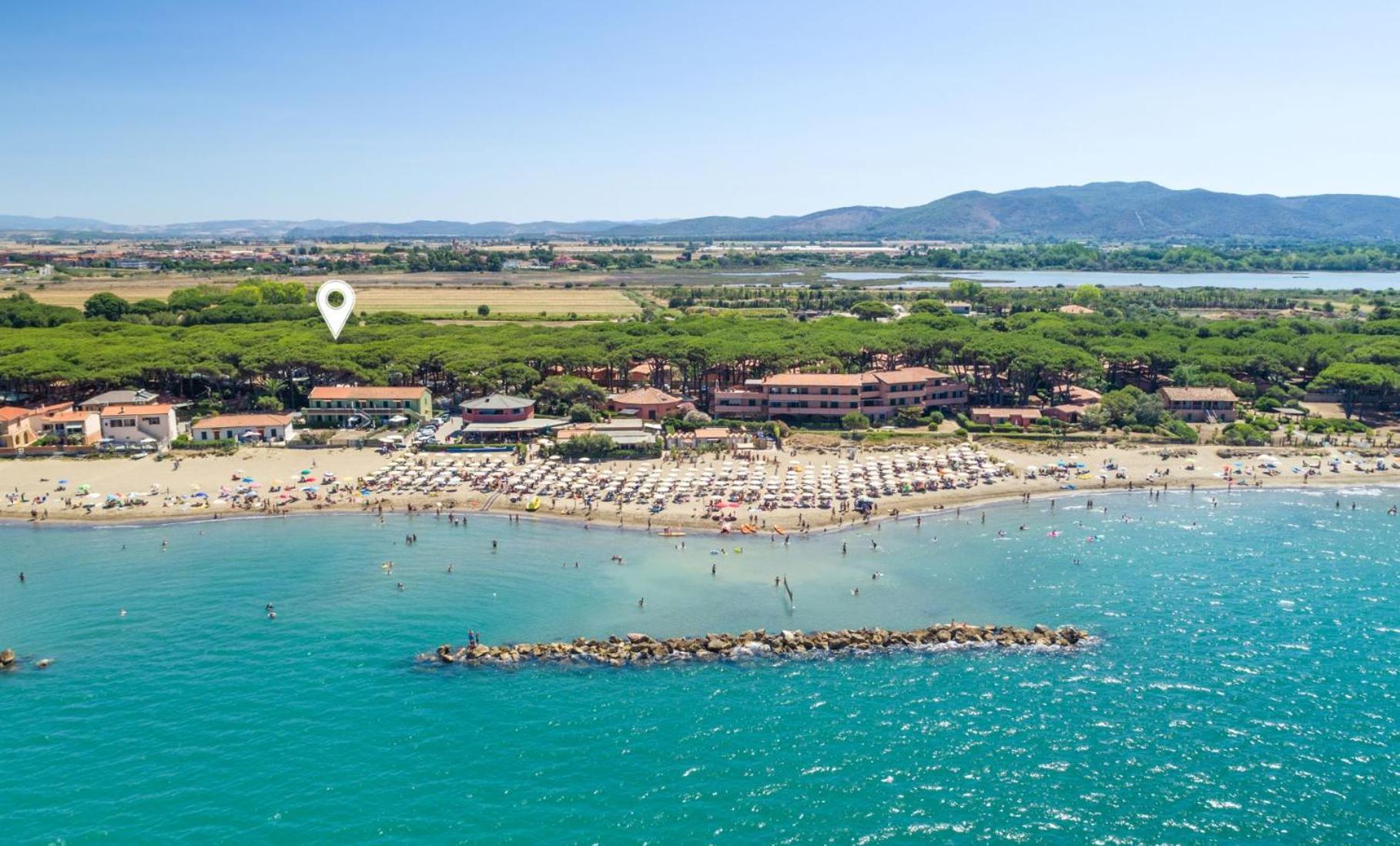 Torre Saline sotto pineta sul mare della Giannella view 4